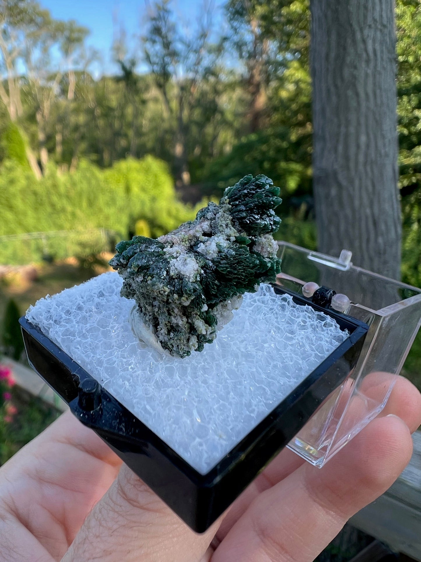 Mottramite Crystals from Tsumeb Namibia
