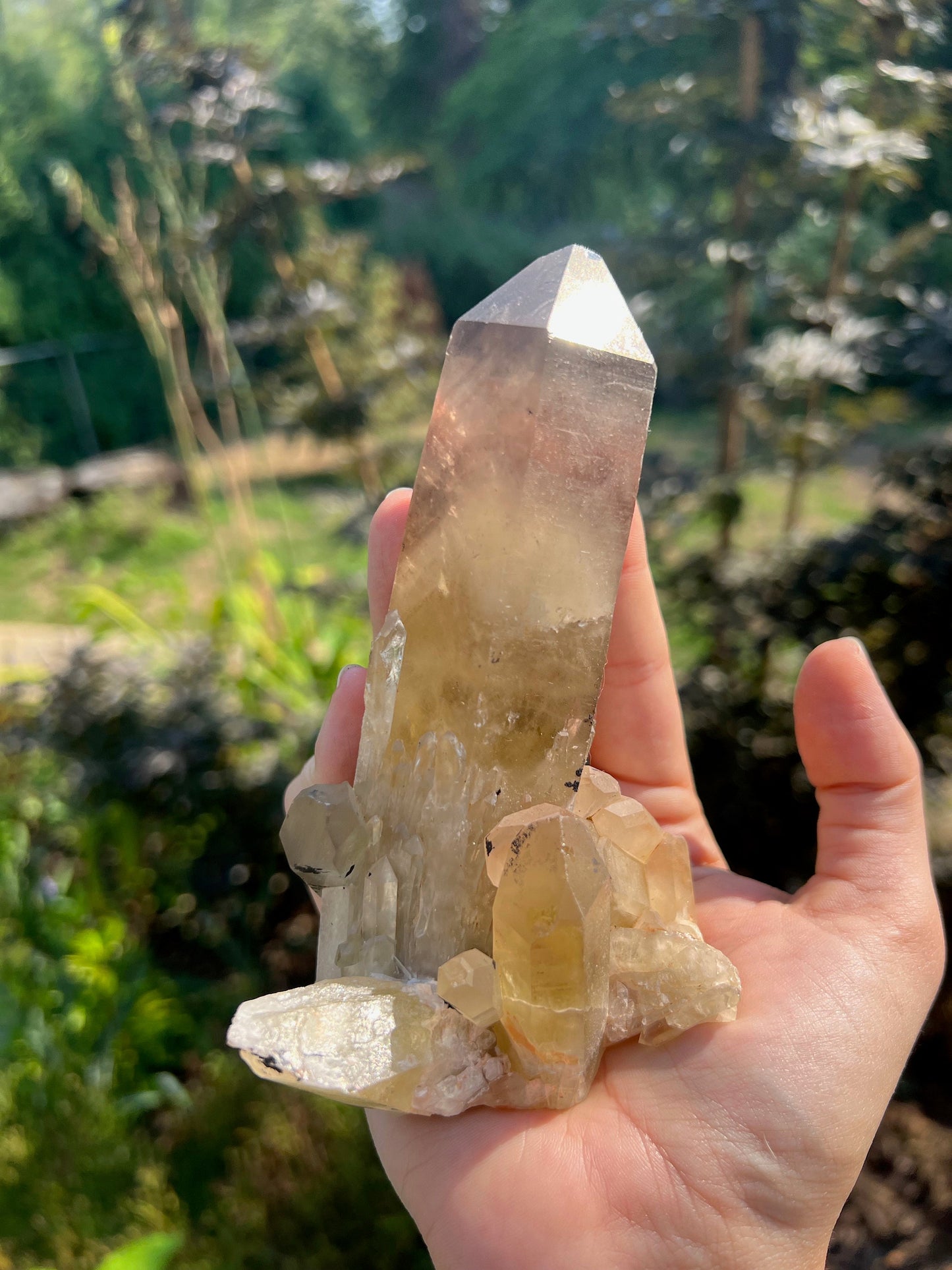 Unpolished Citrine Point from Madagascar