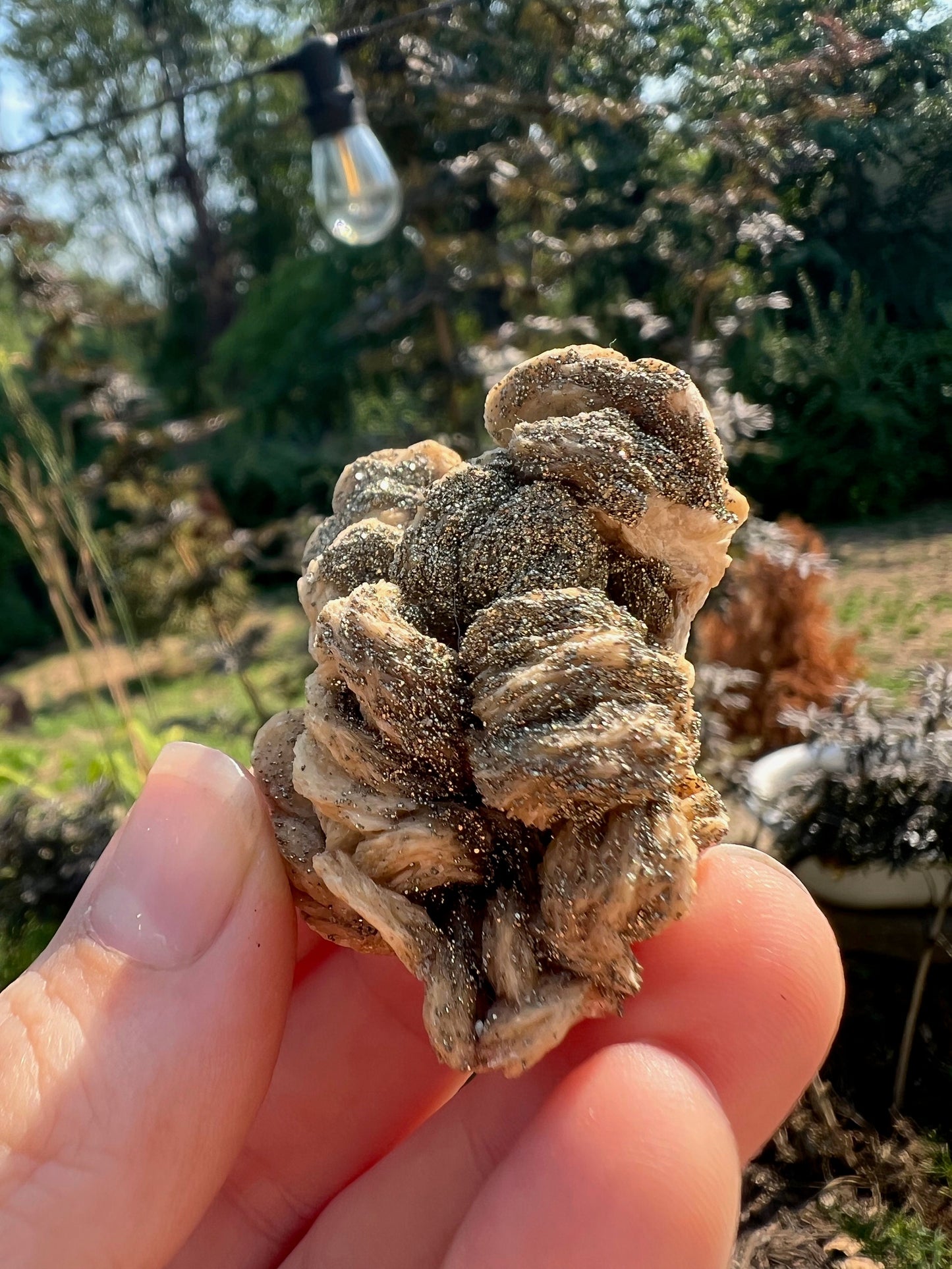 Pyrite on Barite from Rutyna's Pocket Poland