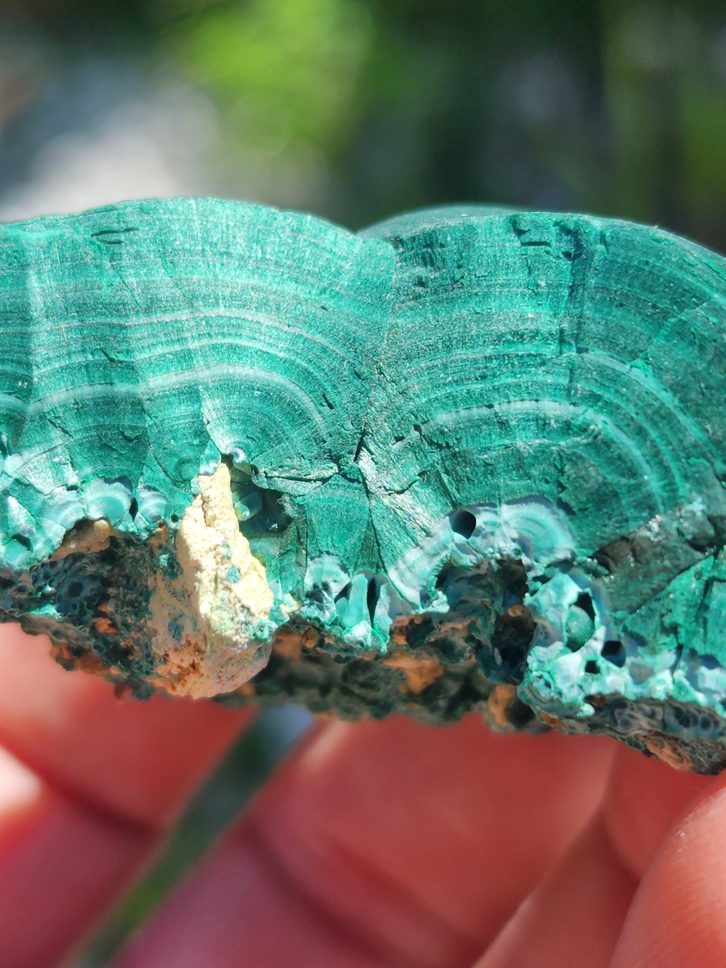 Fibrous Botryoidal Malachite from China