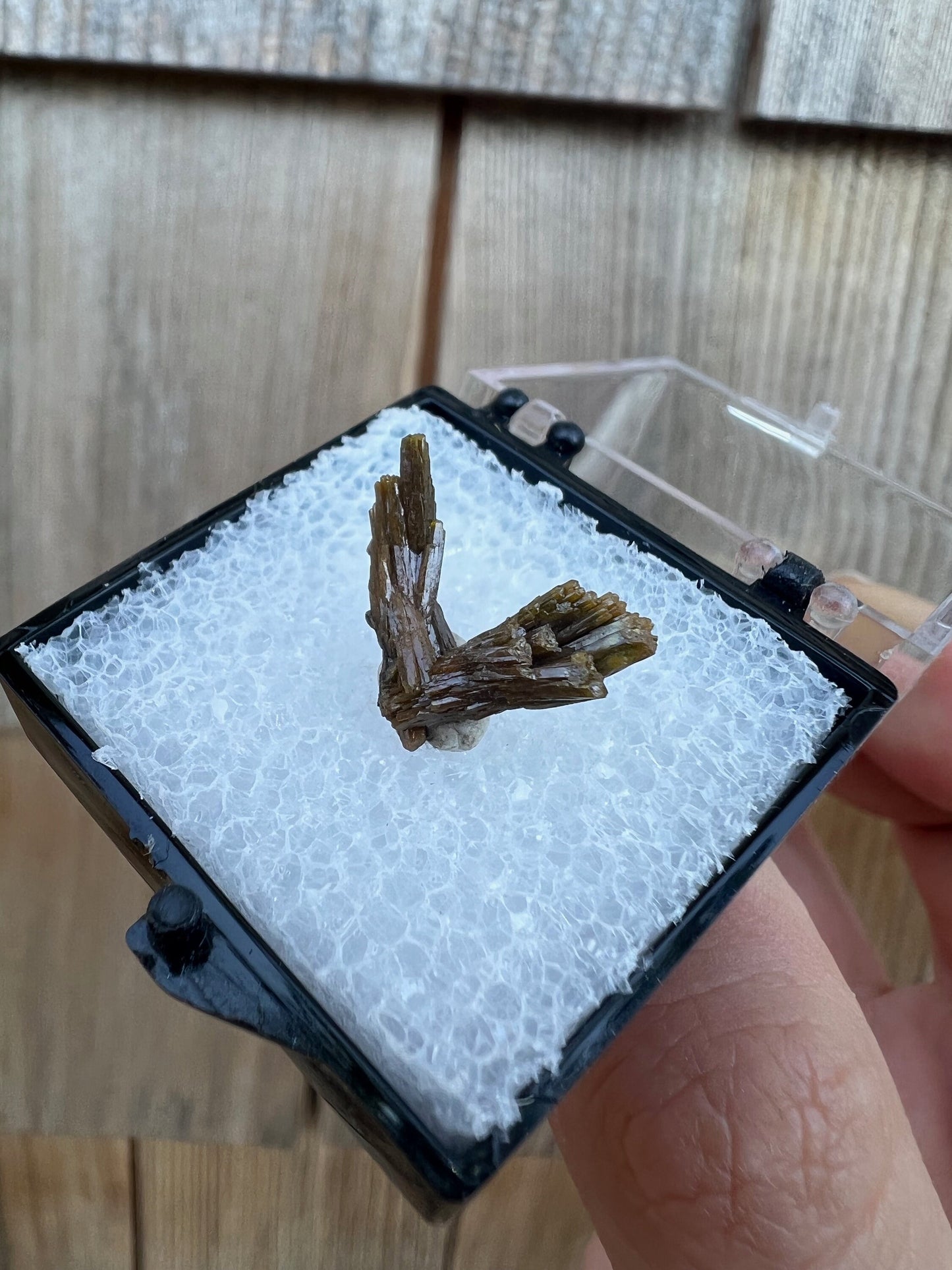 Pyromorphite Crystals from Les Farges Mine France