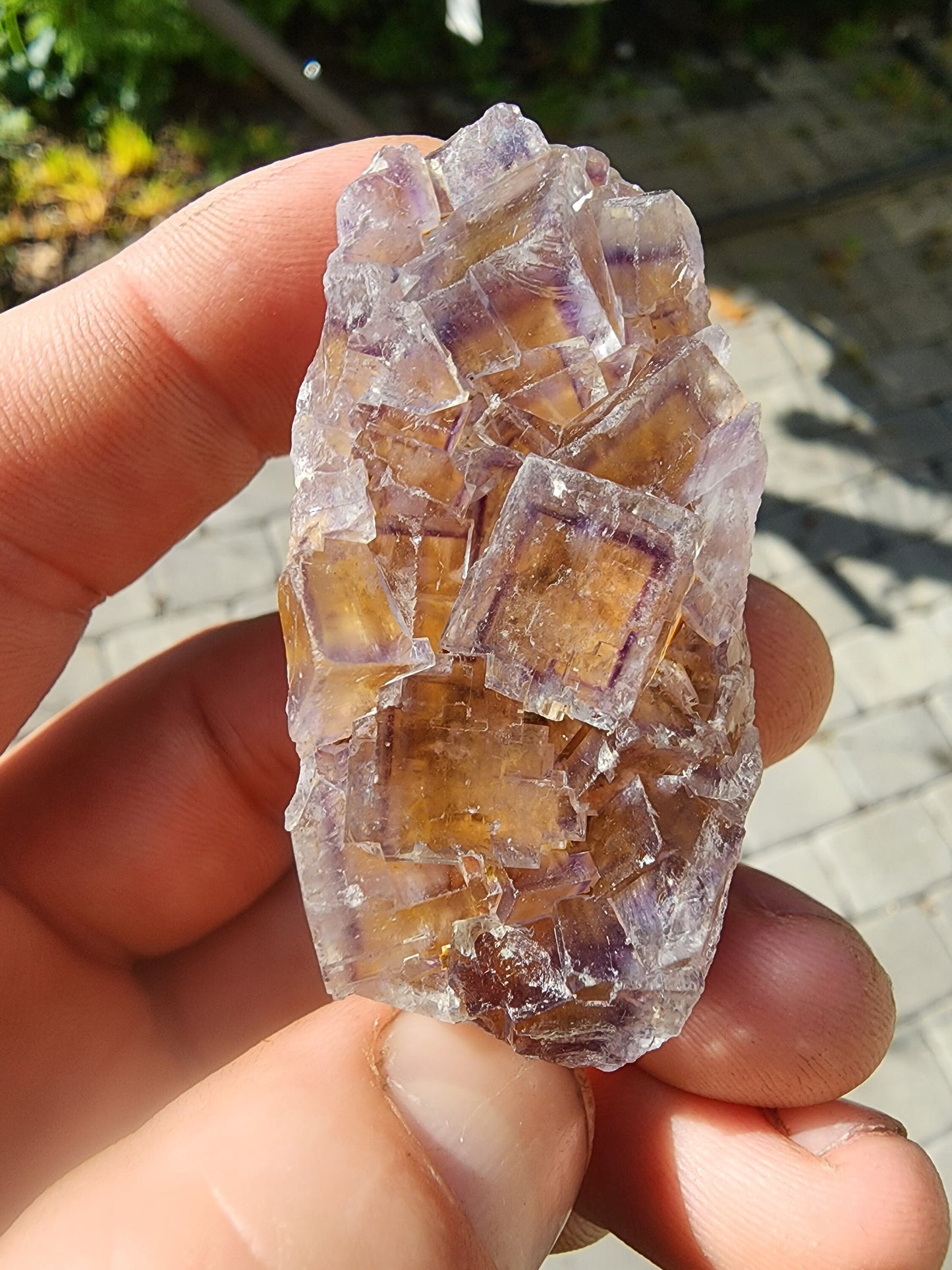 Tri-colored Fluorite from La Barre Auvergne France
