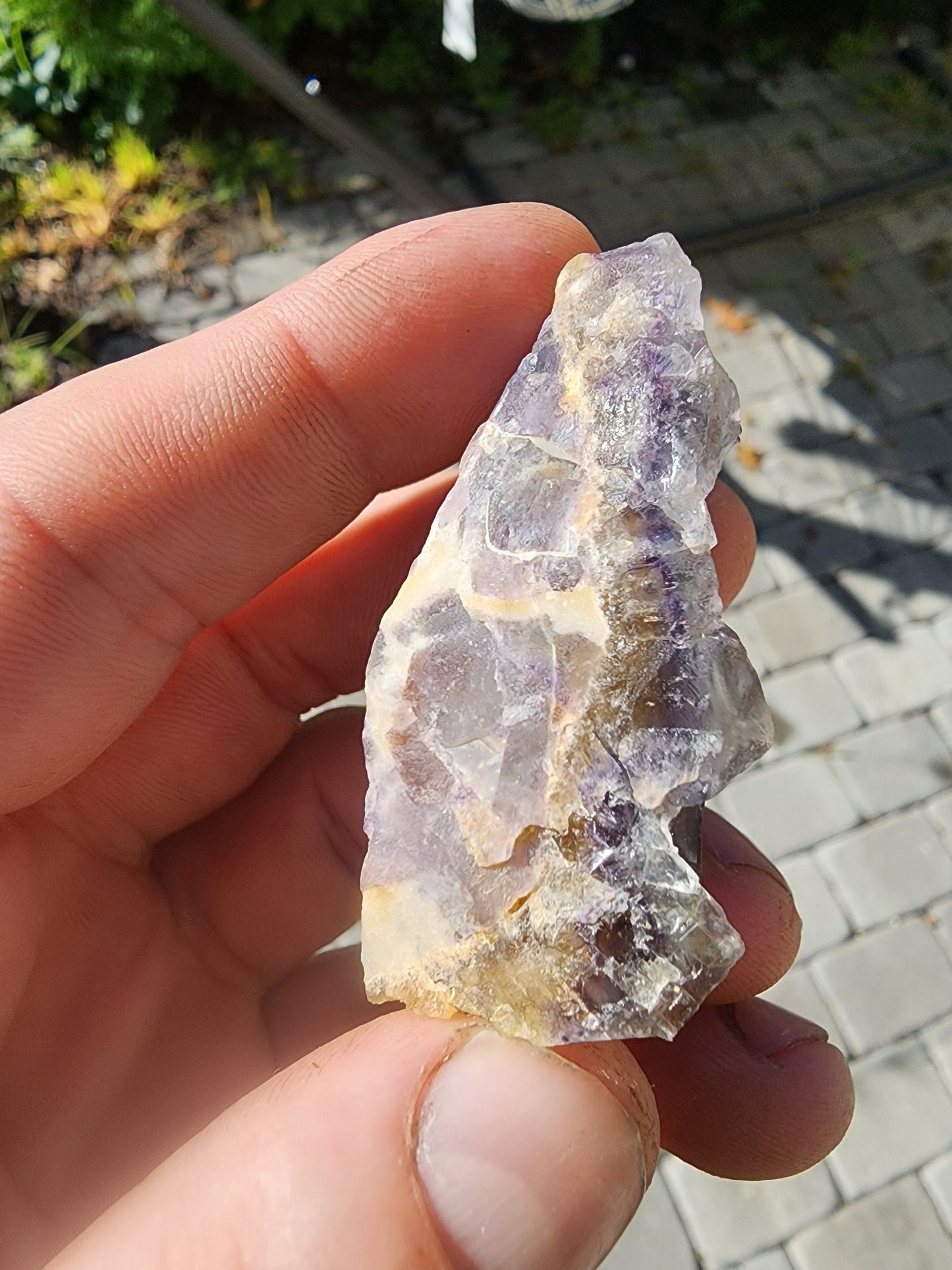 Tri-colored Fluorite from La Barre Auvergne France