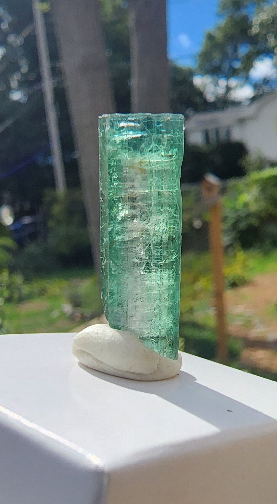 3.6G Watermelon Tourmaline Crystal from Aricanga Mine Brazil