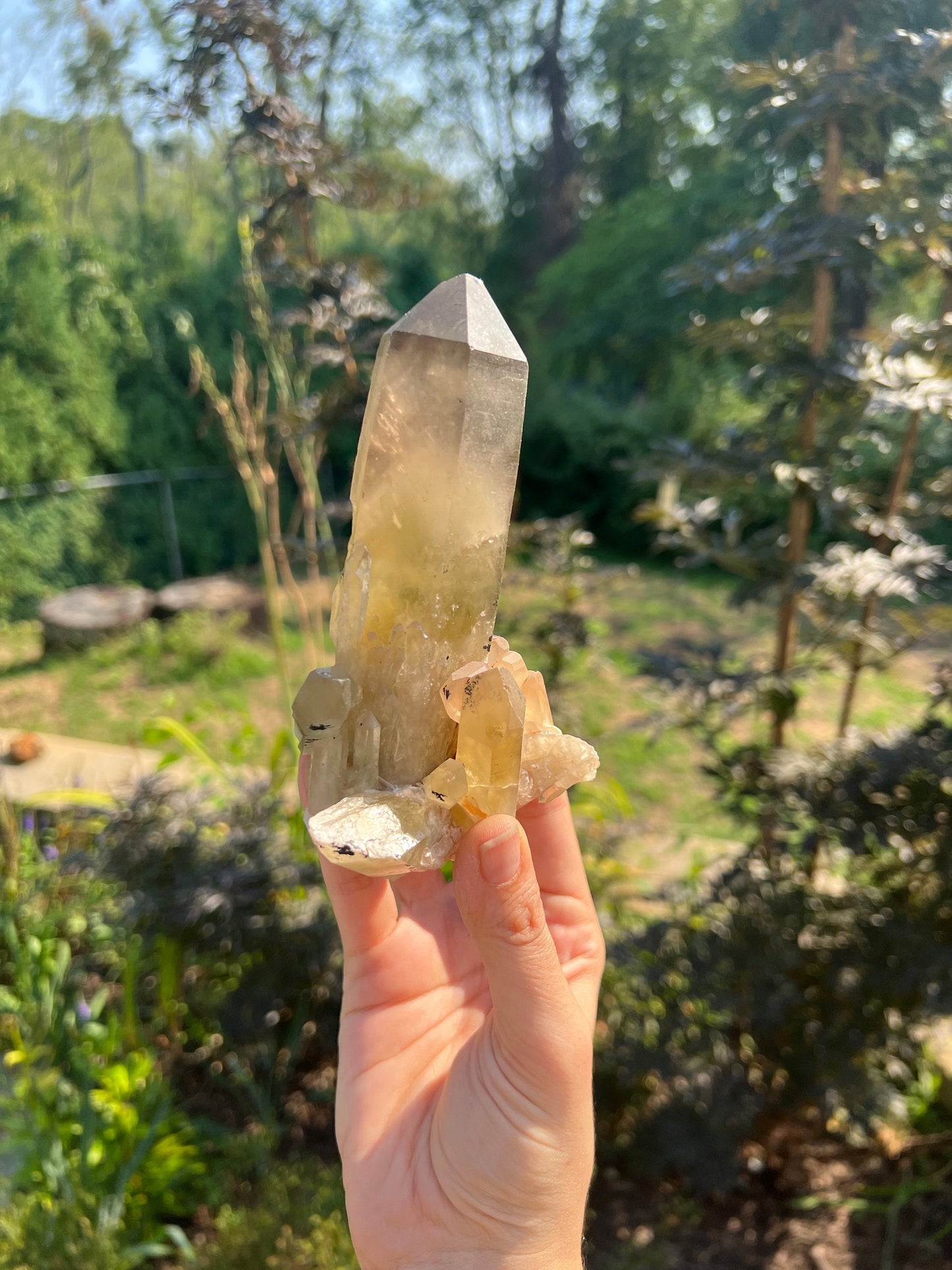 Unpolished Citrine Point from Madagascar