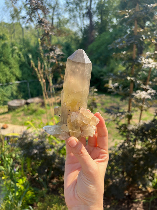 Unpolished Citrine Point from Madagascar