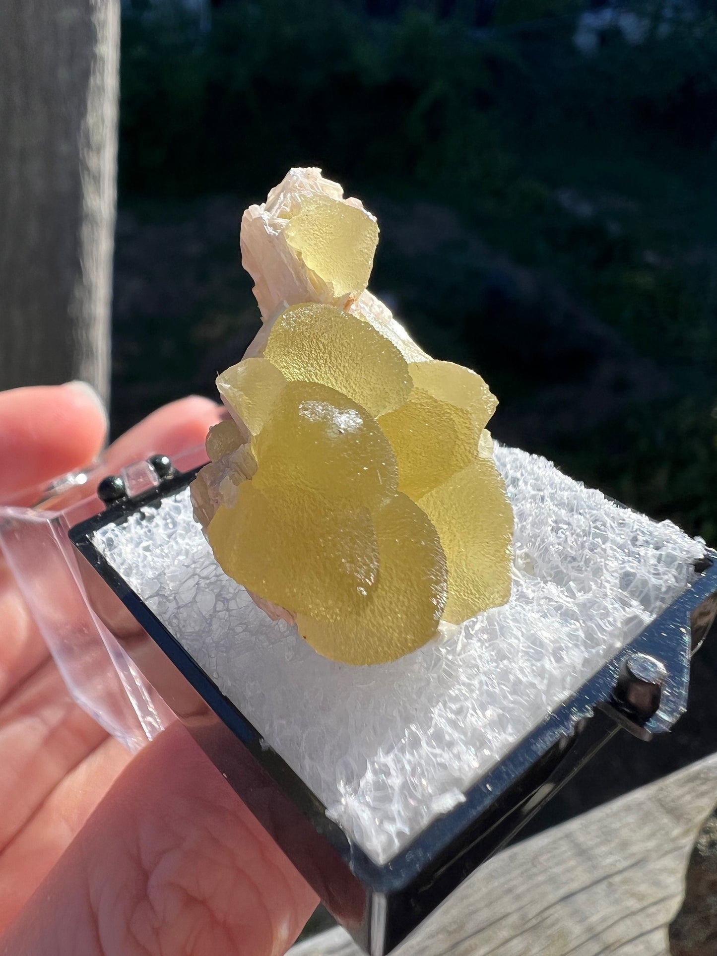 Fluorescent Smithsonite with Cerussite from Tsumeb Mine Namibia