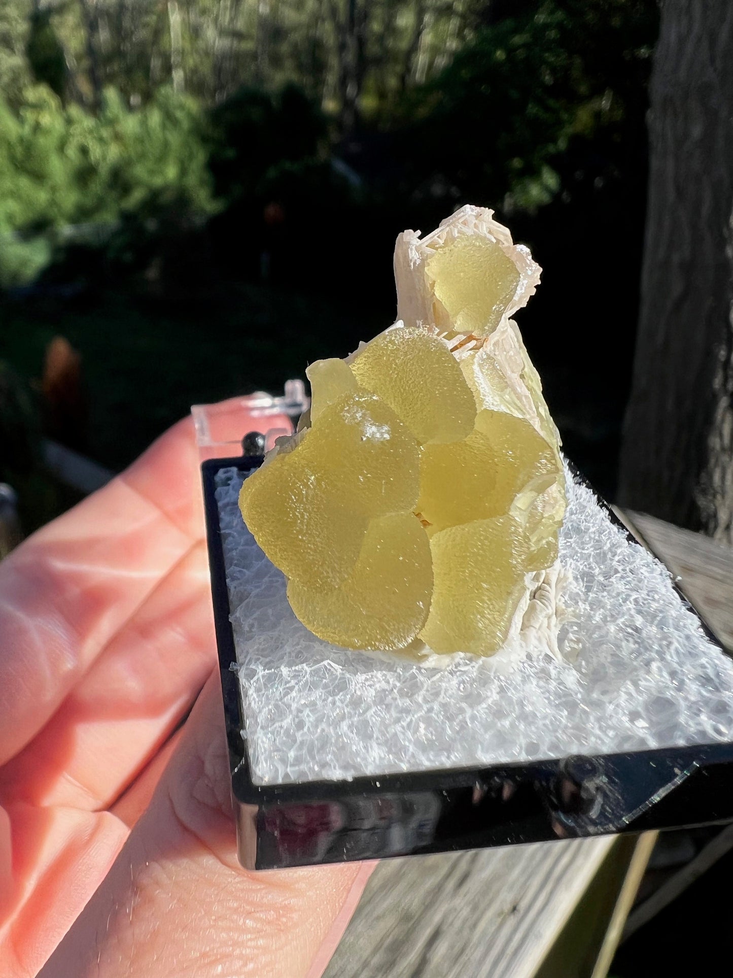 Fluorescent Smithsonite with Cerussite from Tsumeb Mine Namibia
