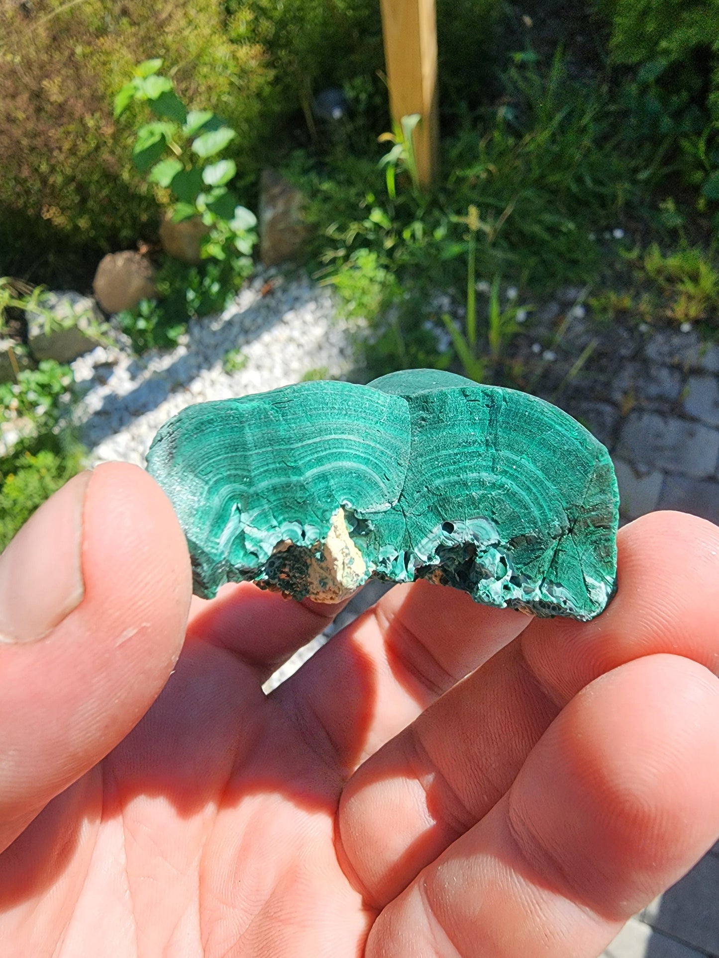 Fibrous Botryoidal Malachite from China