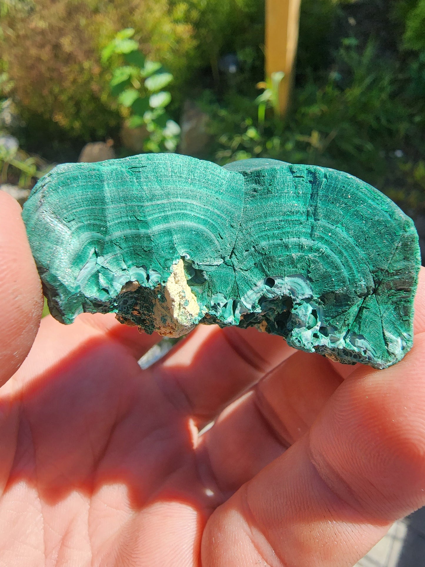 Fibrous Botryoidal Malachite from China