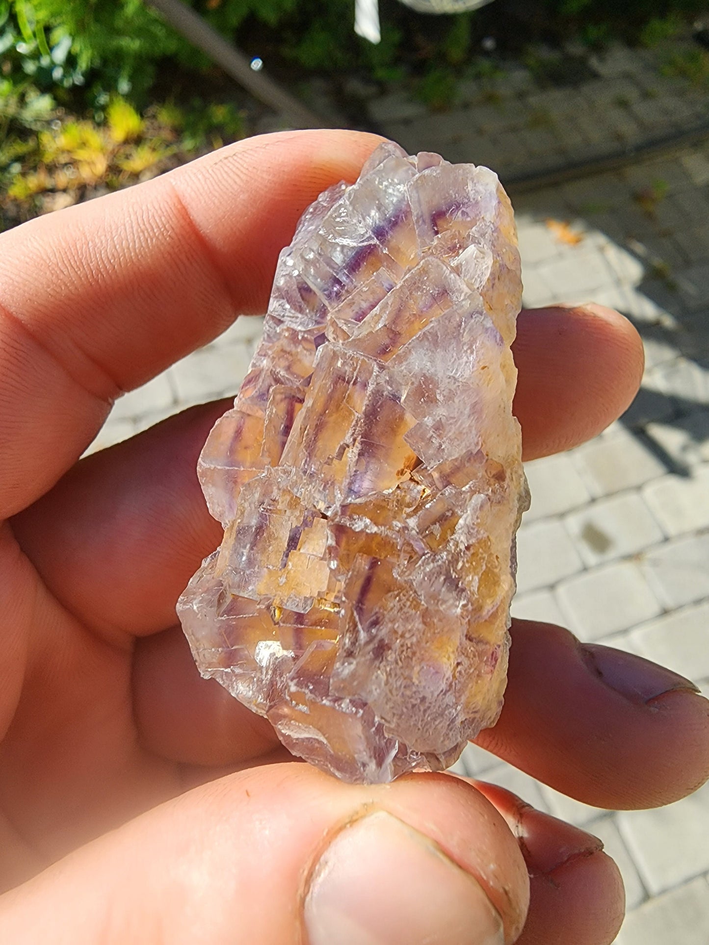 Tri-colored Fluorite from La Barre Auvergne France