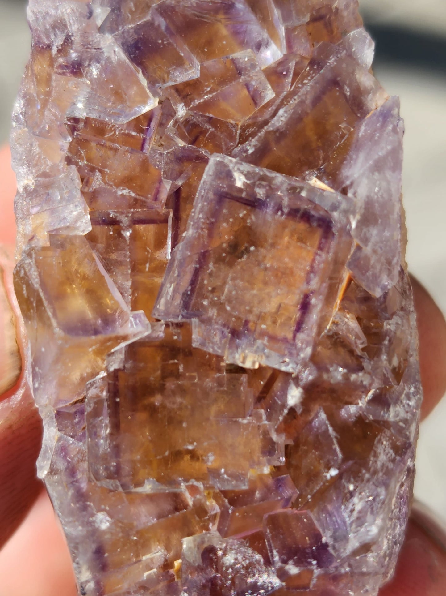 Tri-colored Fluorite from La Barre Auvergne France