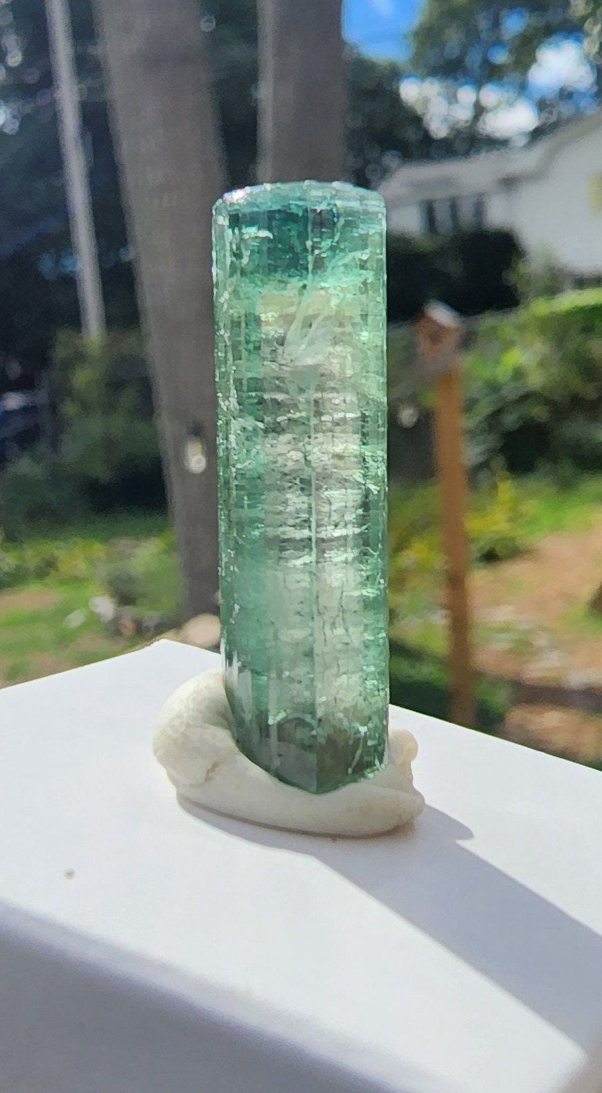 3.6G Watermelon Tourmaline Crystal from Aricanga Mine Brazil