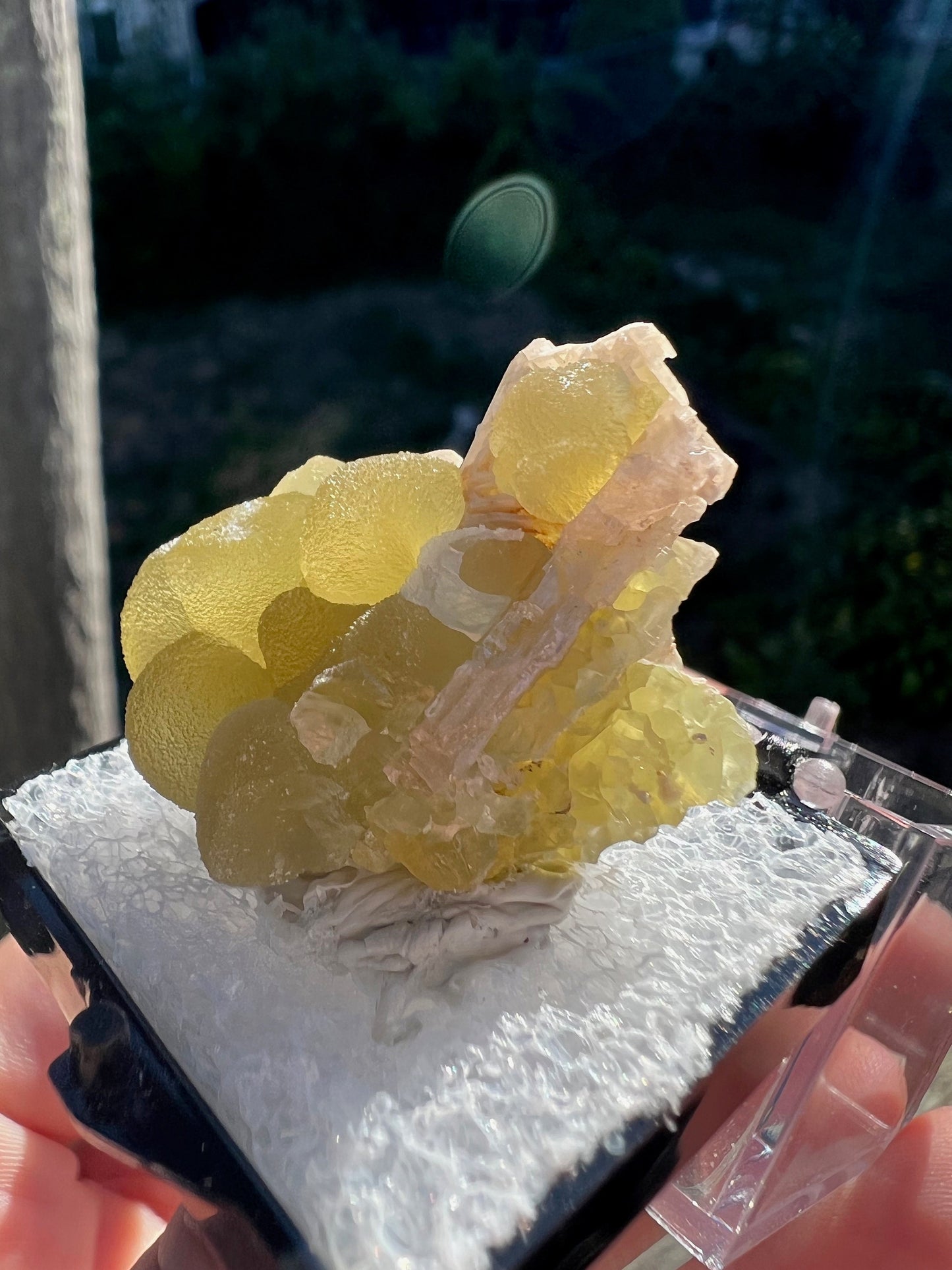 Fluorescent Smithsonite with Cerussite from Tsumeb Mine Namibia