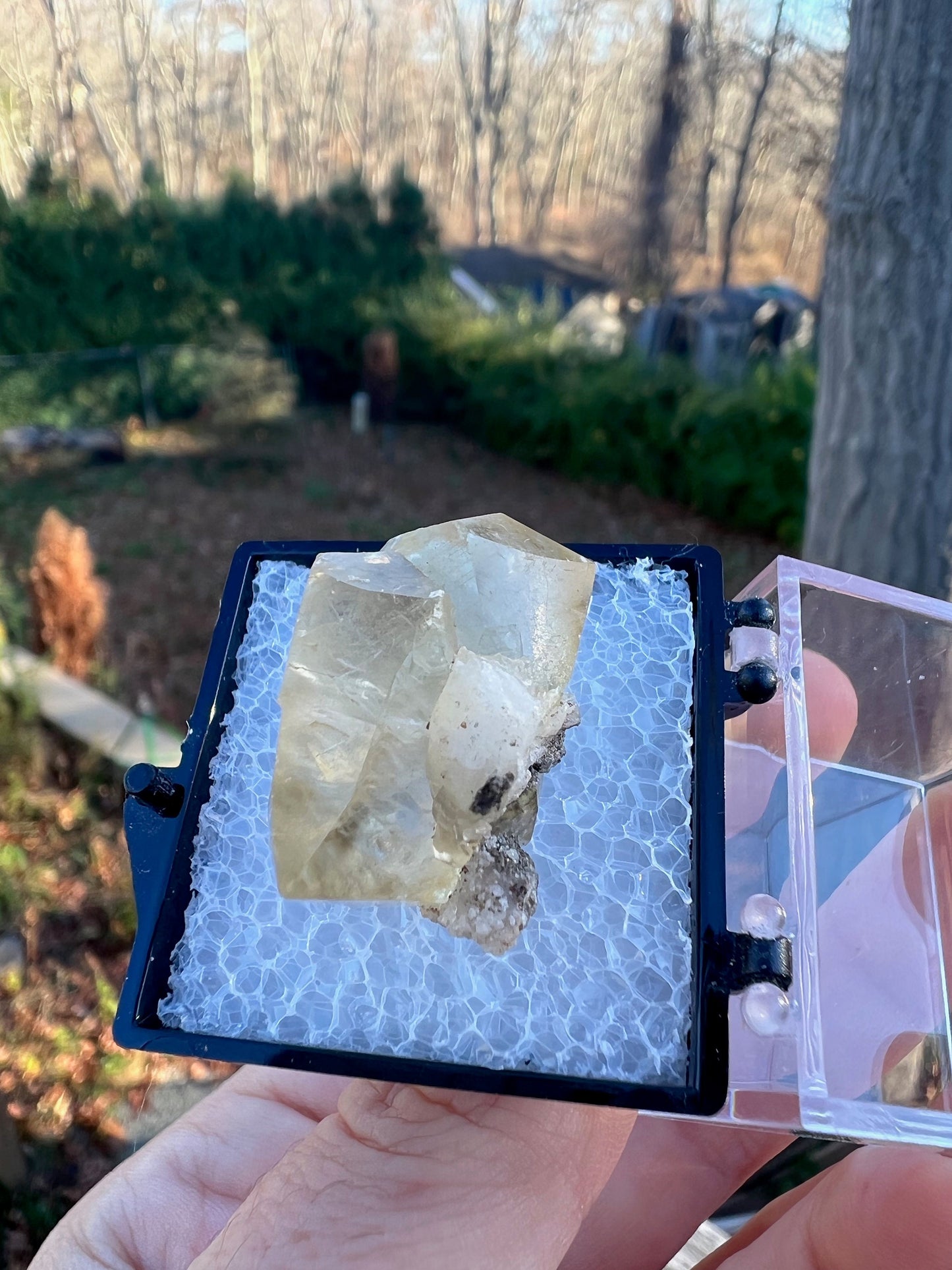 Twin Calcite Crystal Thumbnail from Spain