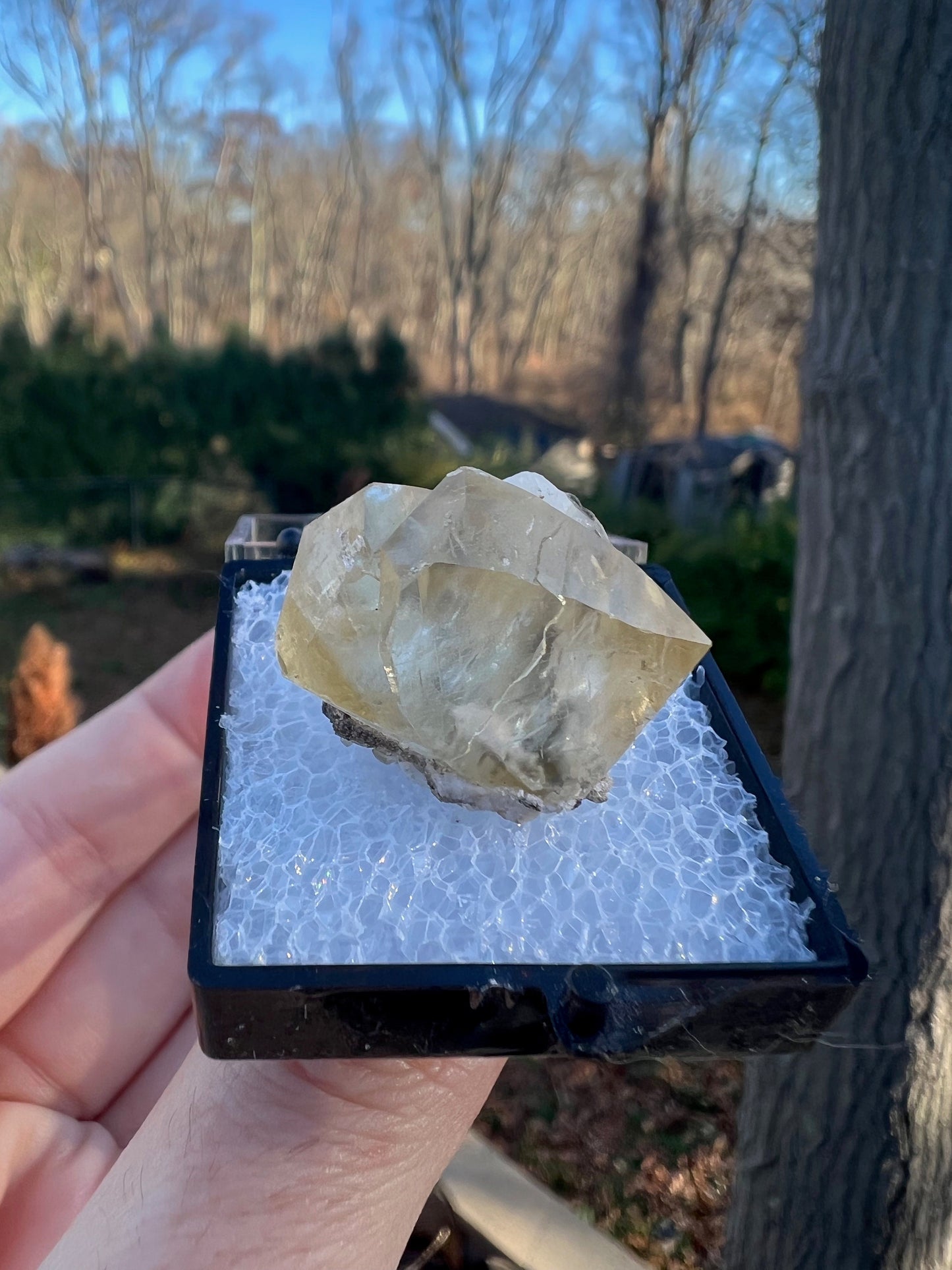 Twin Calcite Crystal Thumbnail from Spain