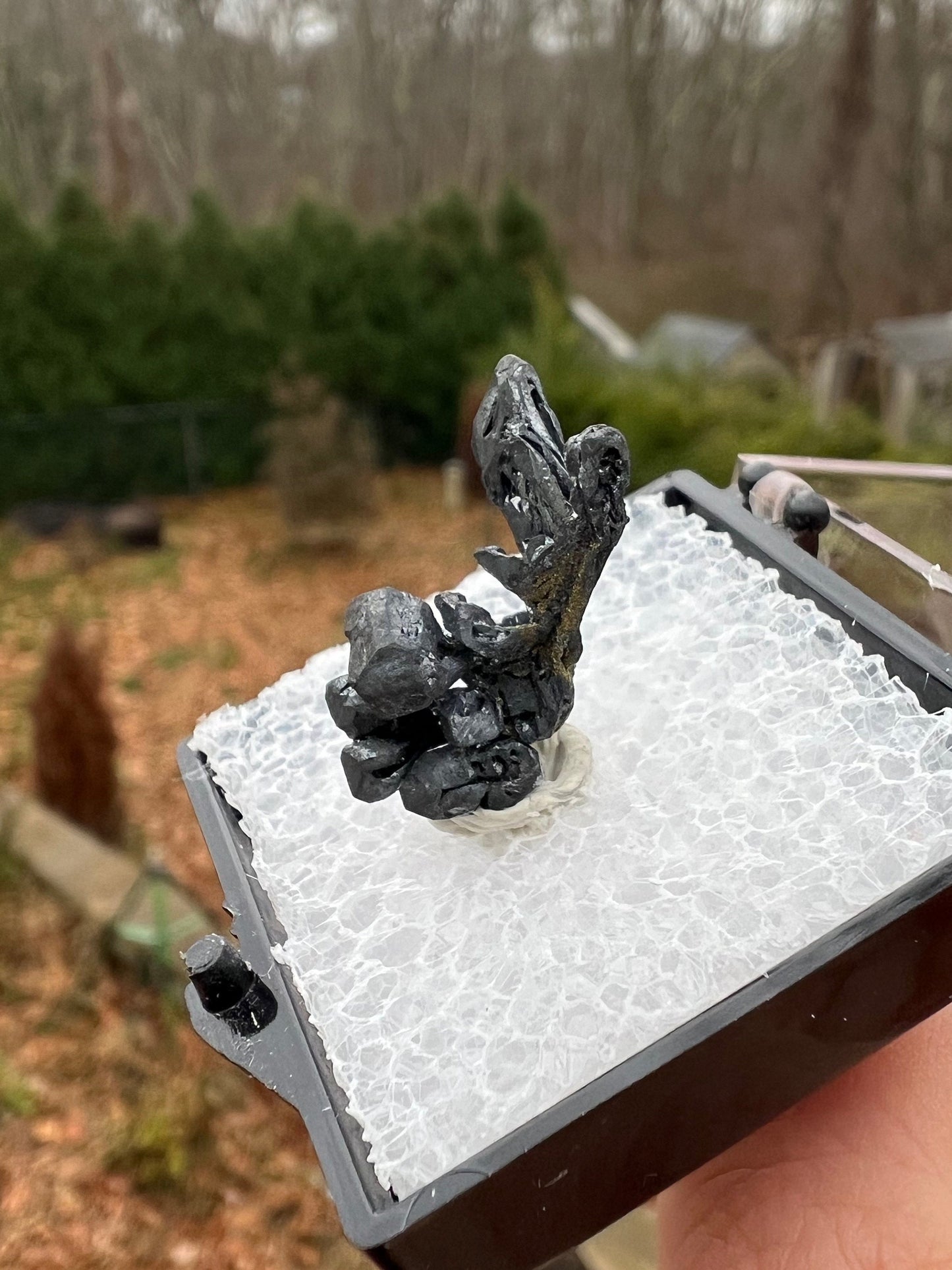 Hoppered Acanthite Crystal from Mexico