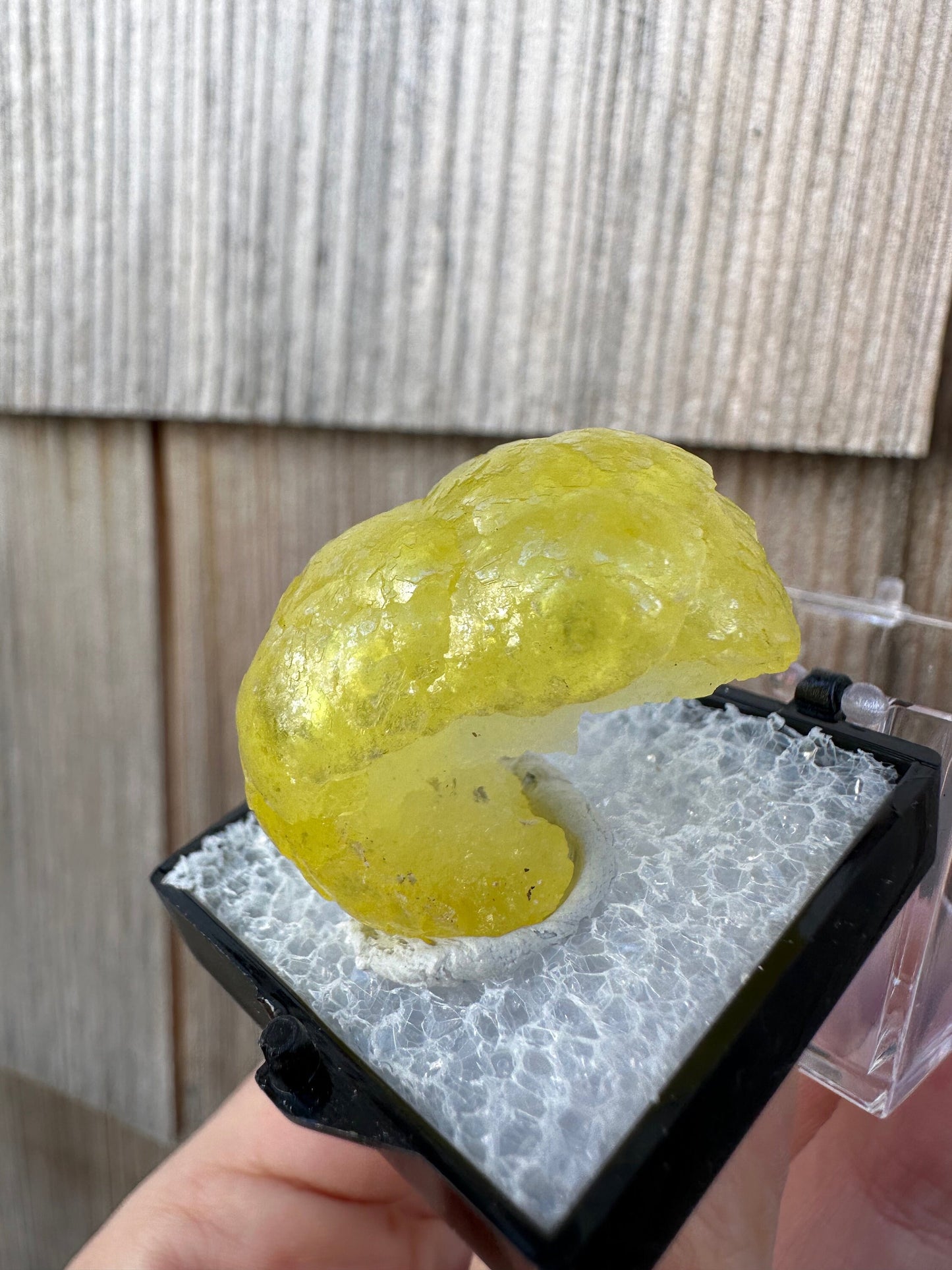 Gem Yellow Brucite Specimen from Pakistan