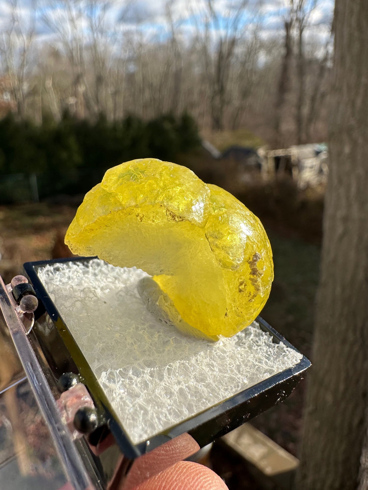 Gem Yellow Brucite Specimen from Pakistan
