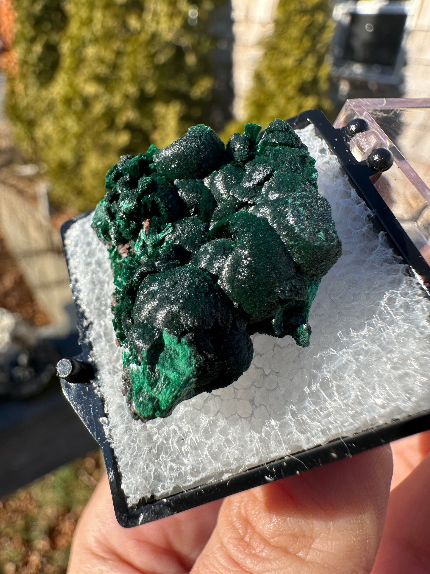 Malachite from Tsumeb Mine Namibia