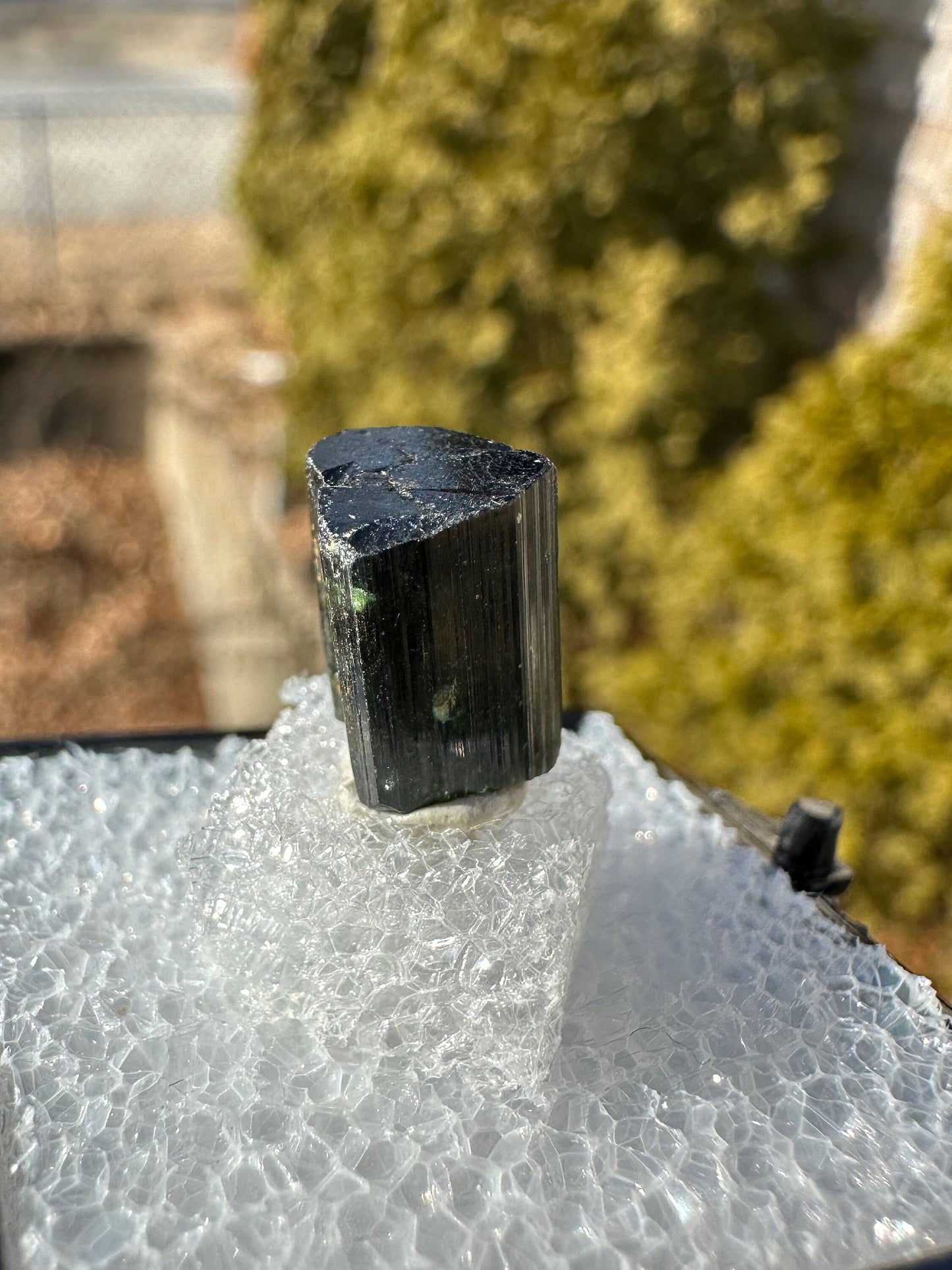 Green Tourmaline Crystal from Itinga Brazil