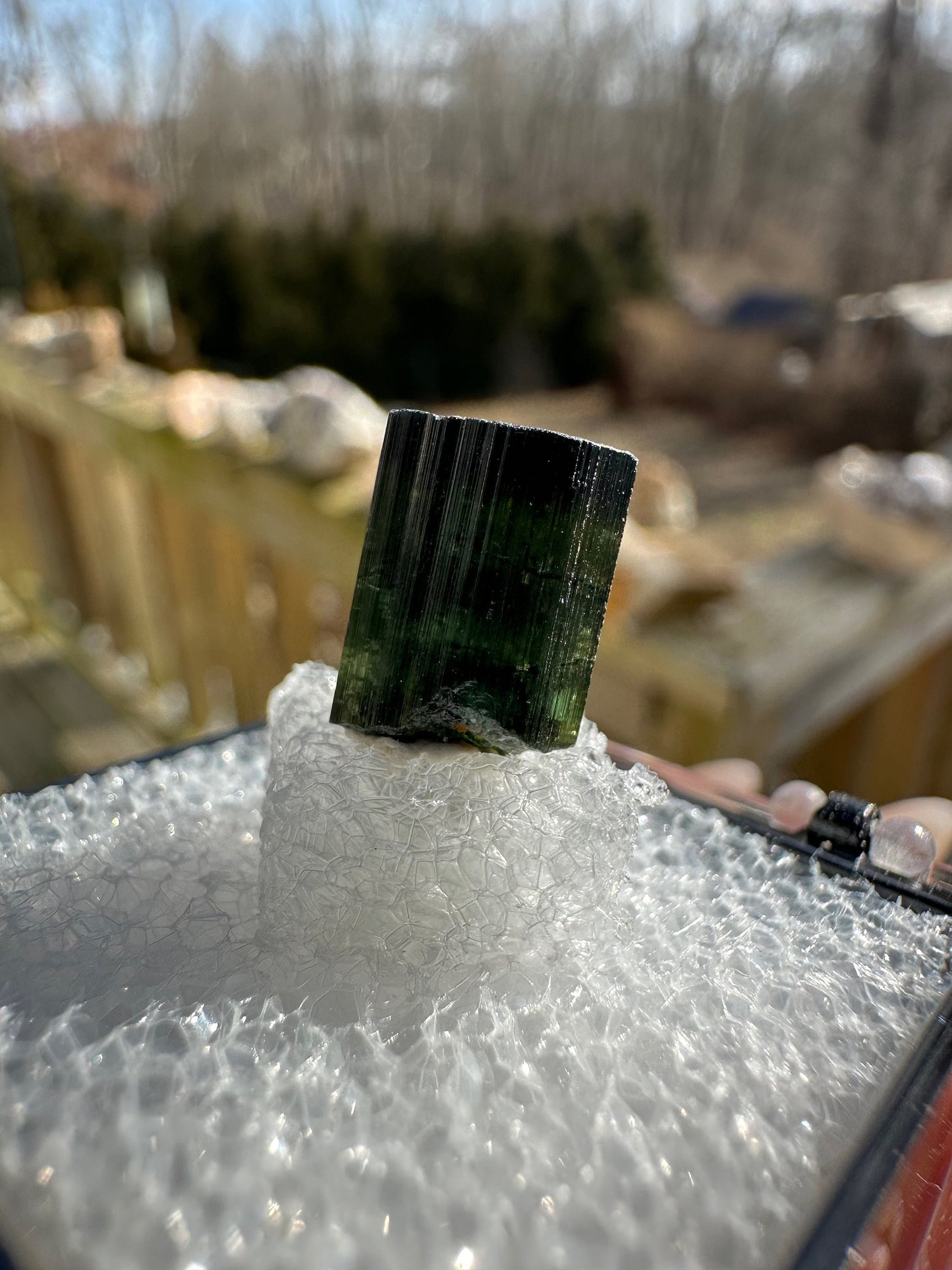 Green Tourmaline Crystal from Itinga Brazil