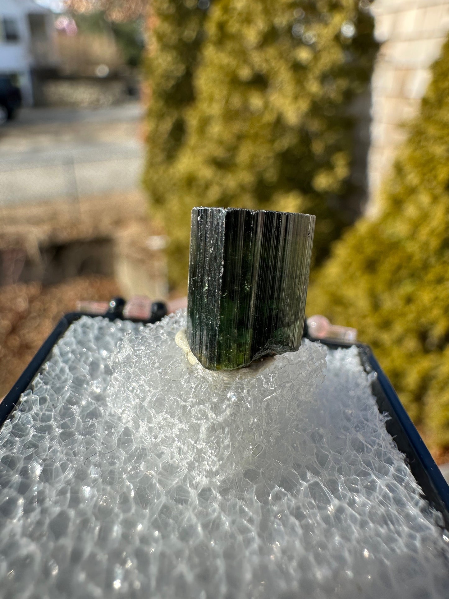Green Tourmaline Crystal from Itinga Brazil