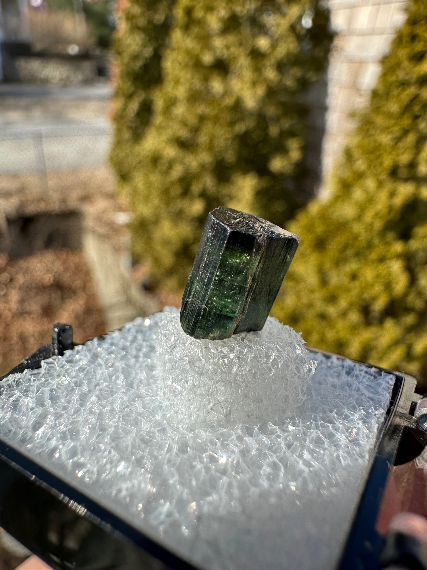 Green Tourmaline Crystal from Itinga Brazil