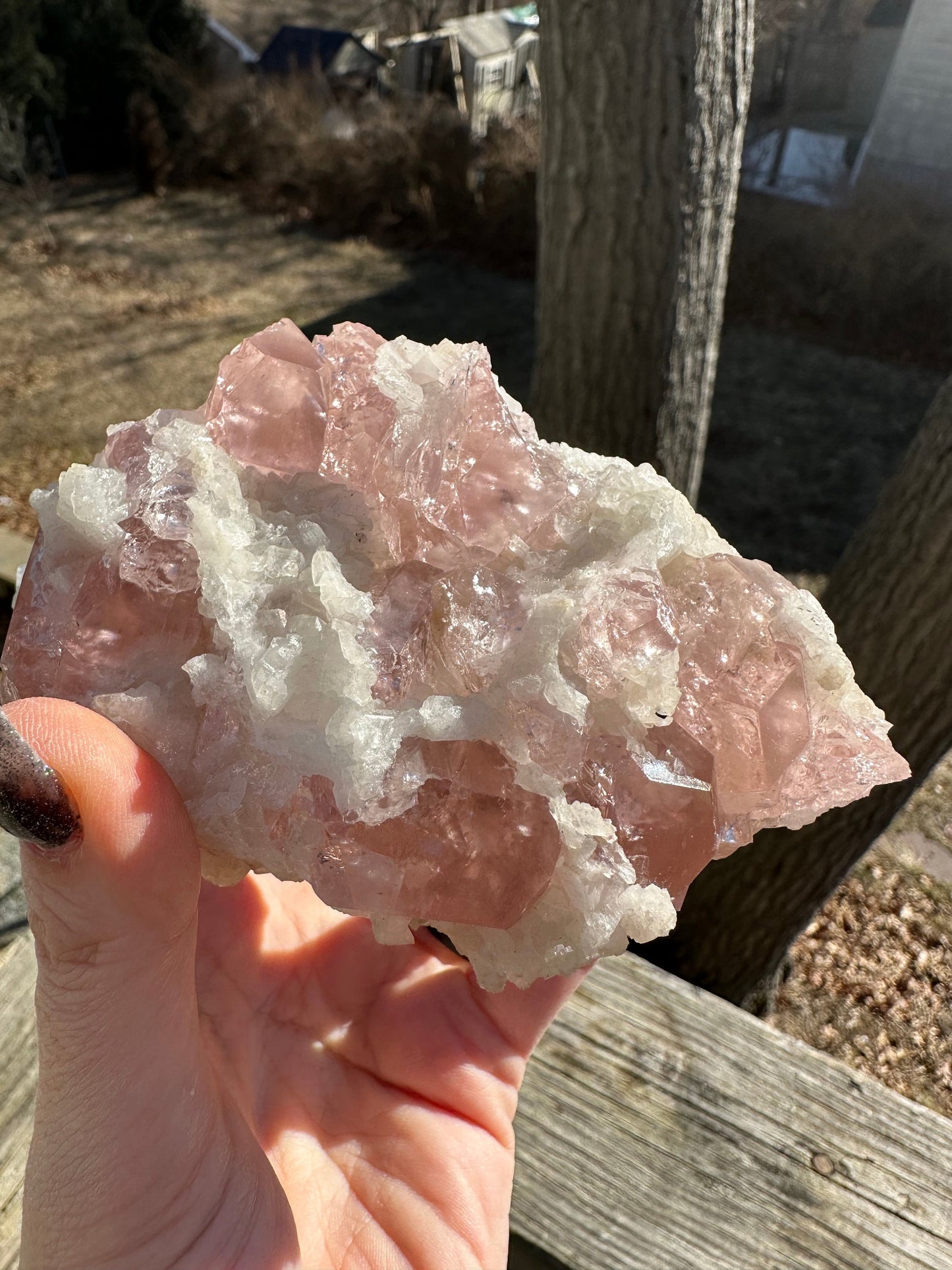 Large Cabinet Pink Morganite Crystal Cluster from Minas Gerais Brazil