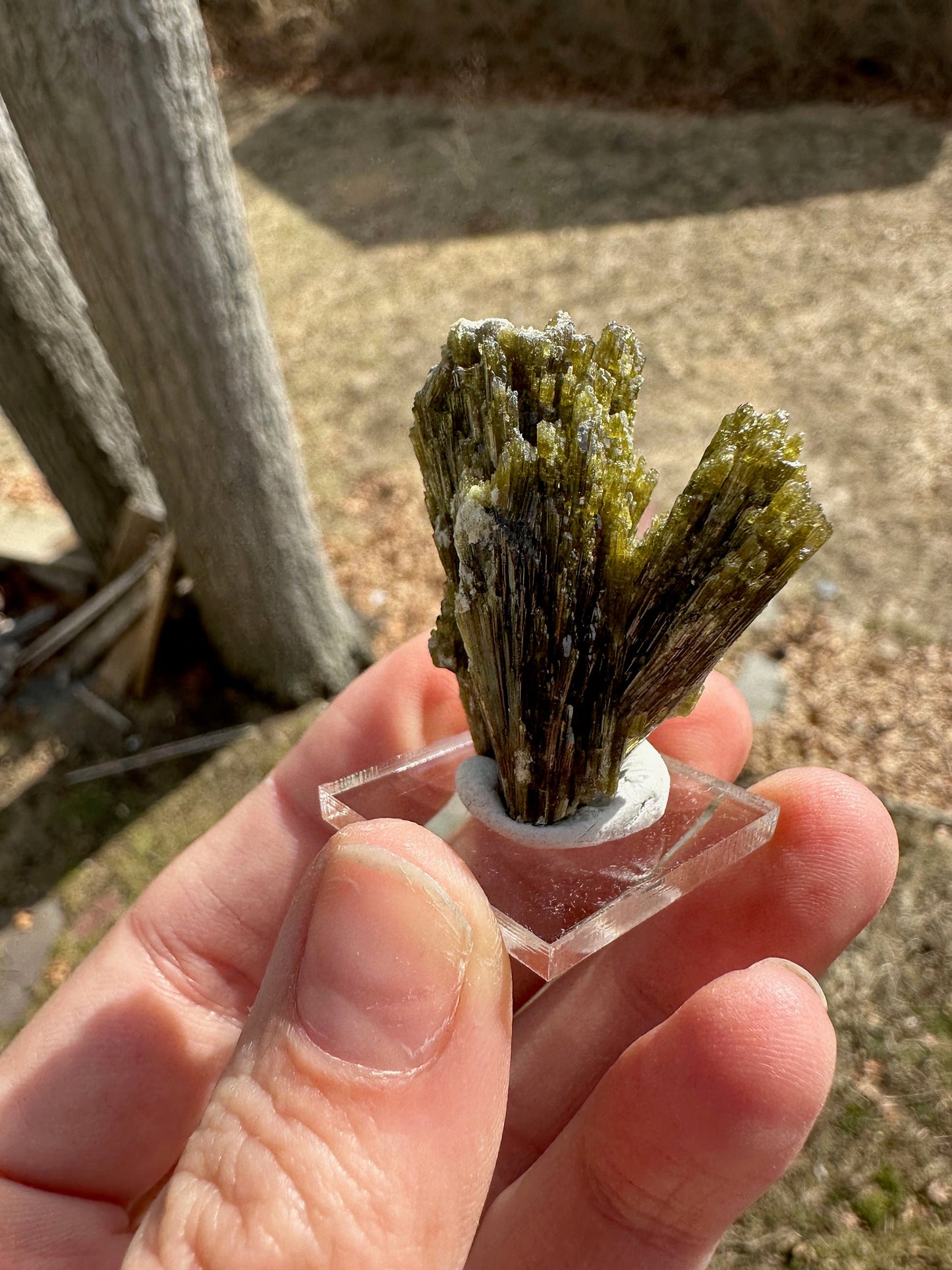 Epidote Crystal Cluster from France
