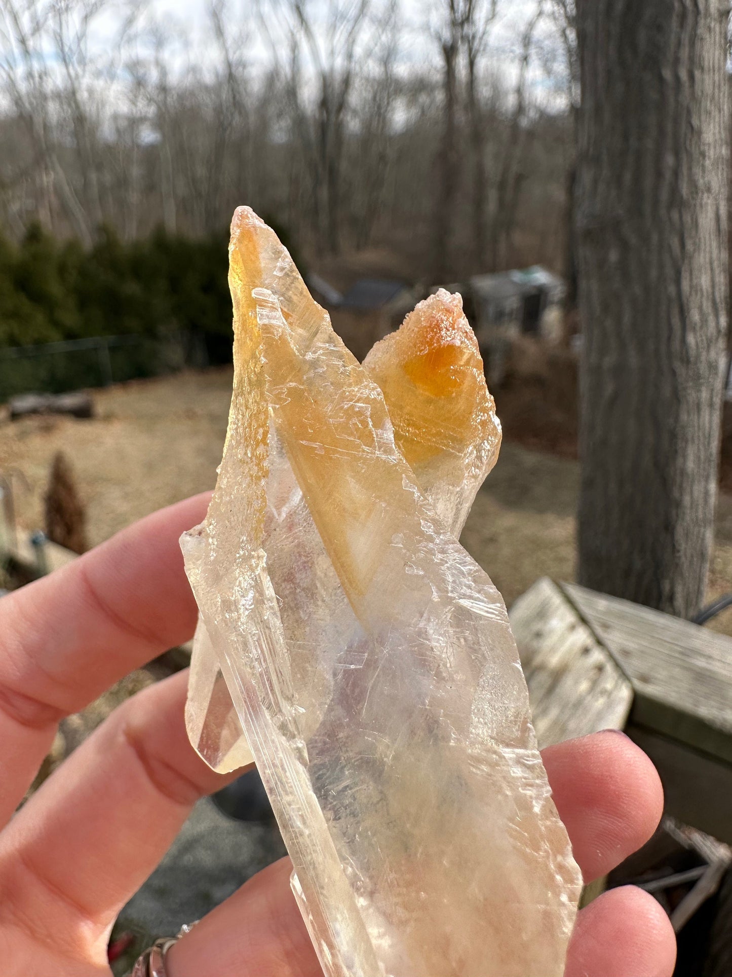 Terminated Selenite Crystal from Creamsicle Mine Utah