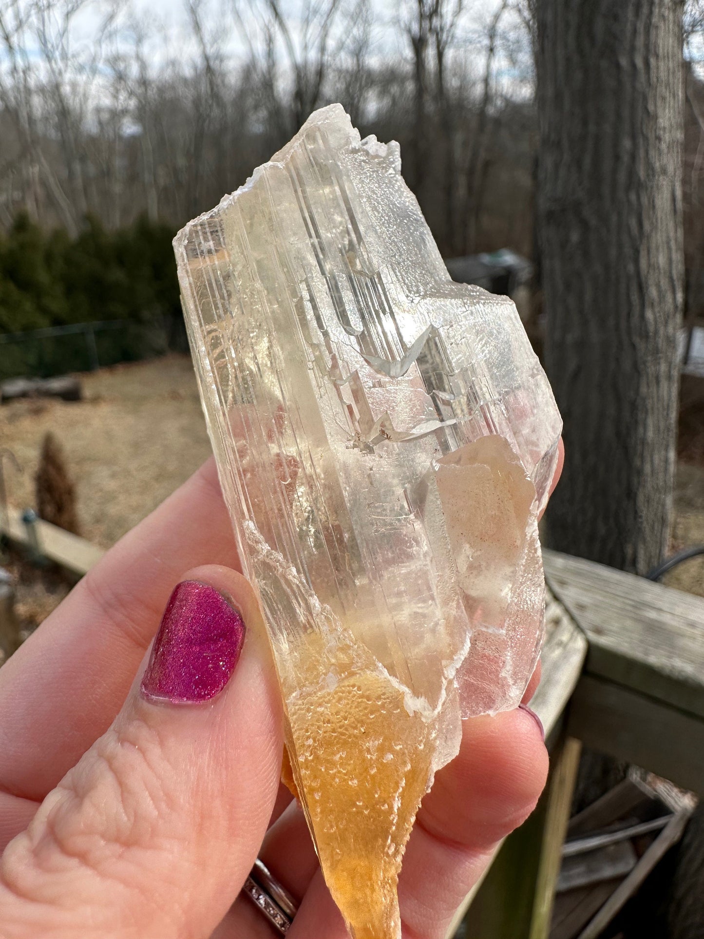 Terminated Selenite Crystal from Creamsicle Mine Utah