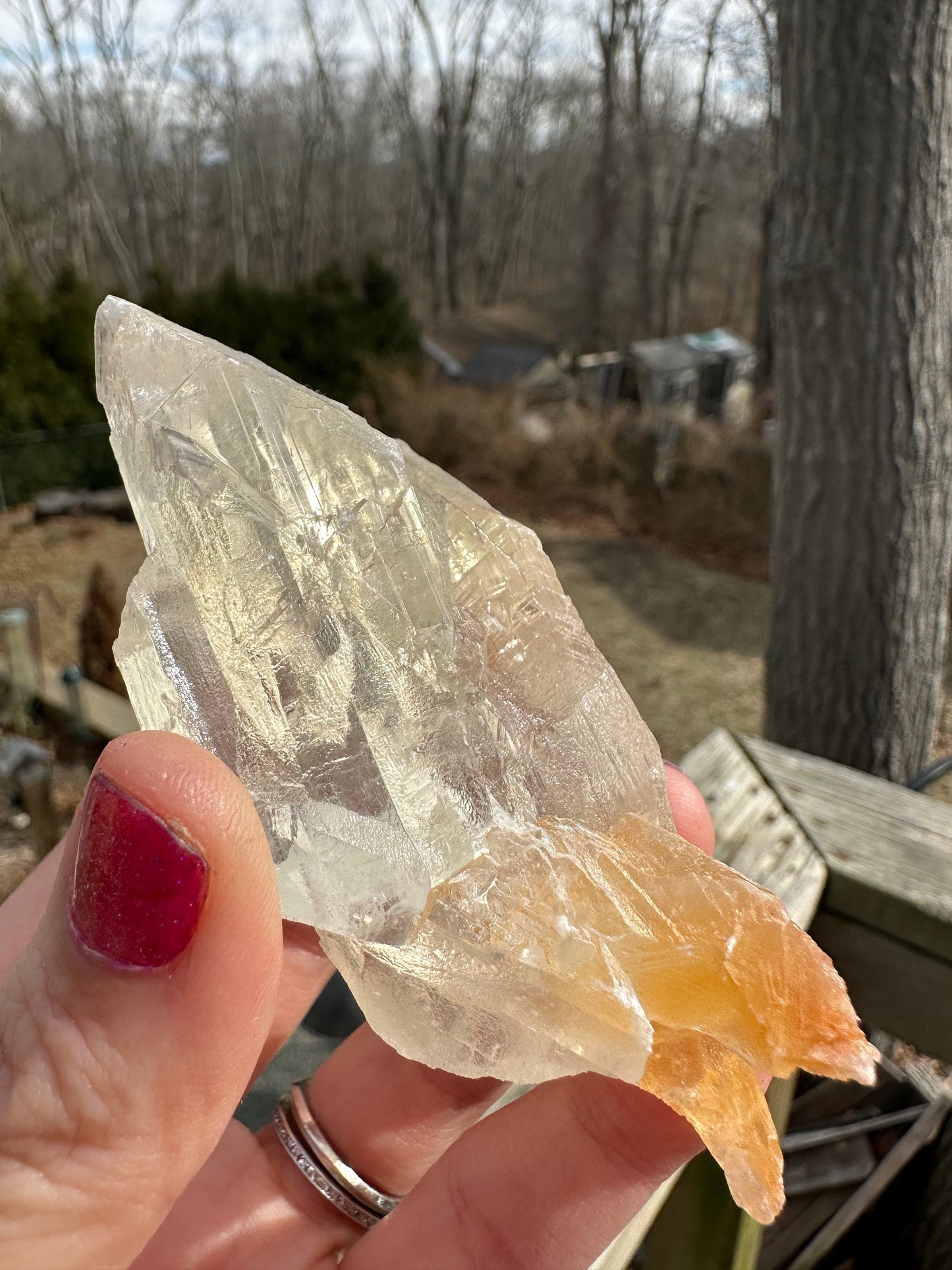 Terminated Selenite Crystal from Creamsicle Mine Utah