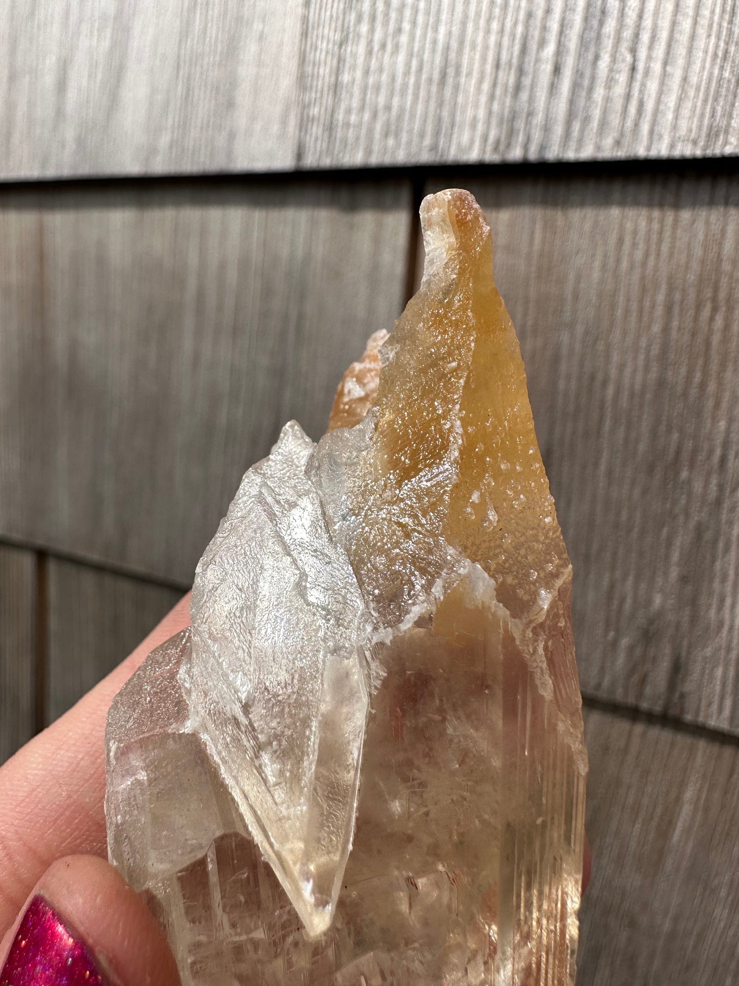 Terminated Selenite Crystal from Creamsicle Mine Utah