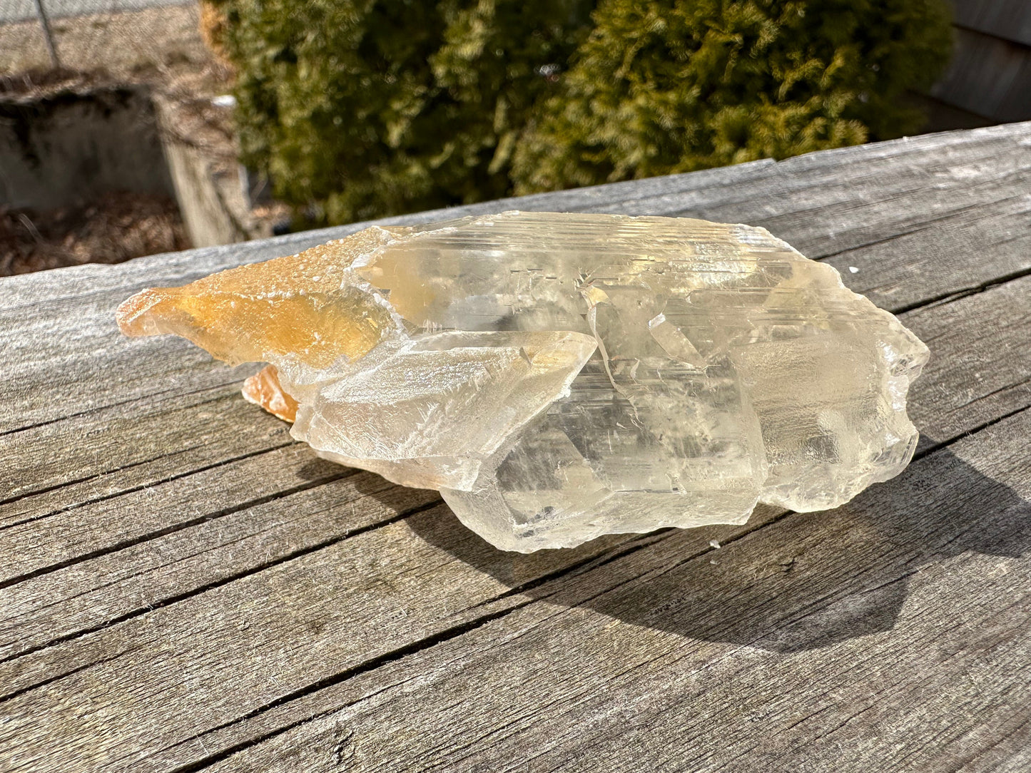 Terminated Selenite Crystal from Creamsicle Mine Utah