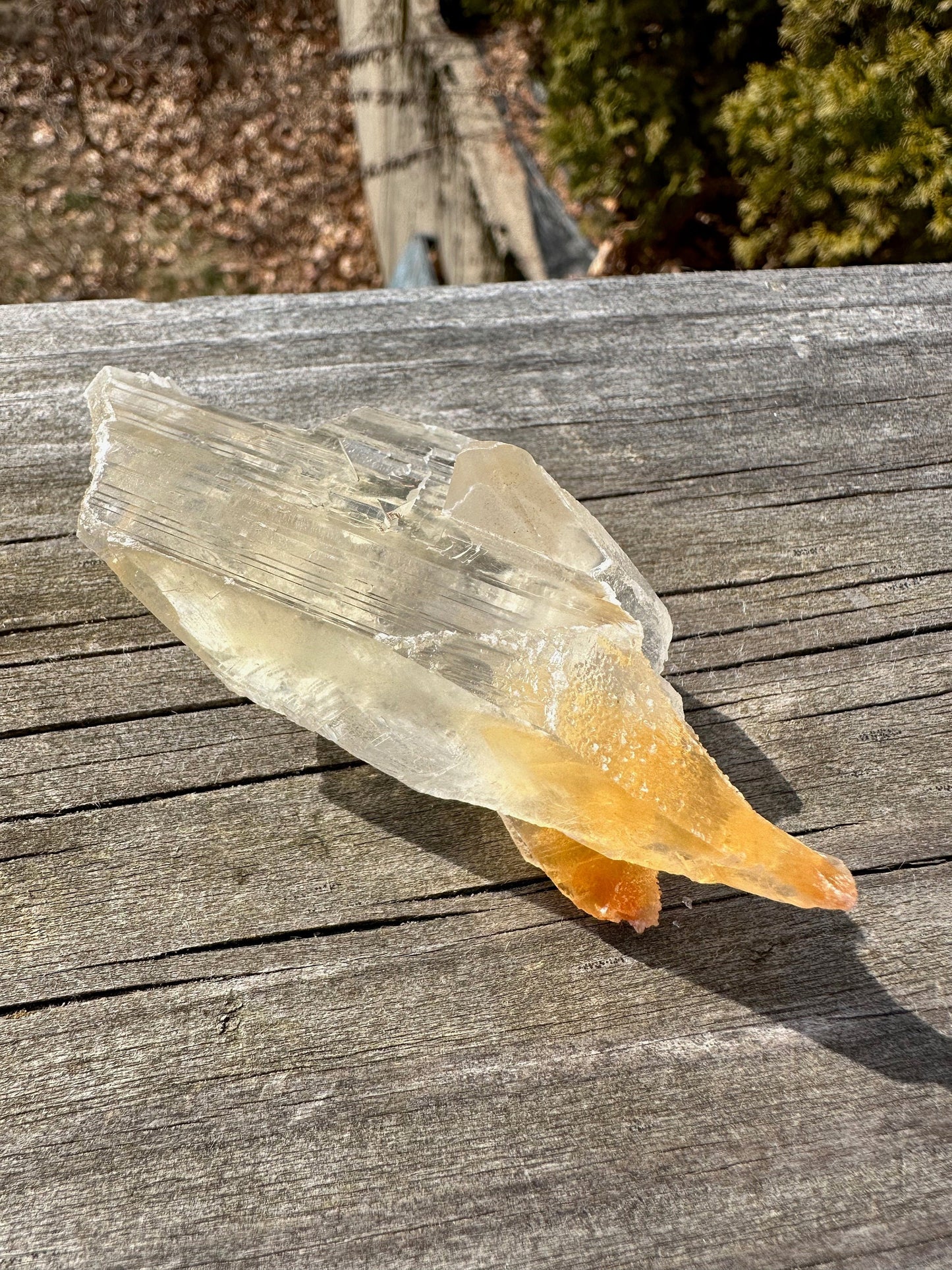 Terminated Selenite Crystal from Creamsicle Mine Utah