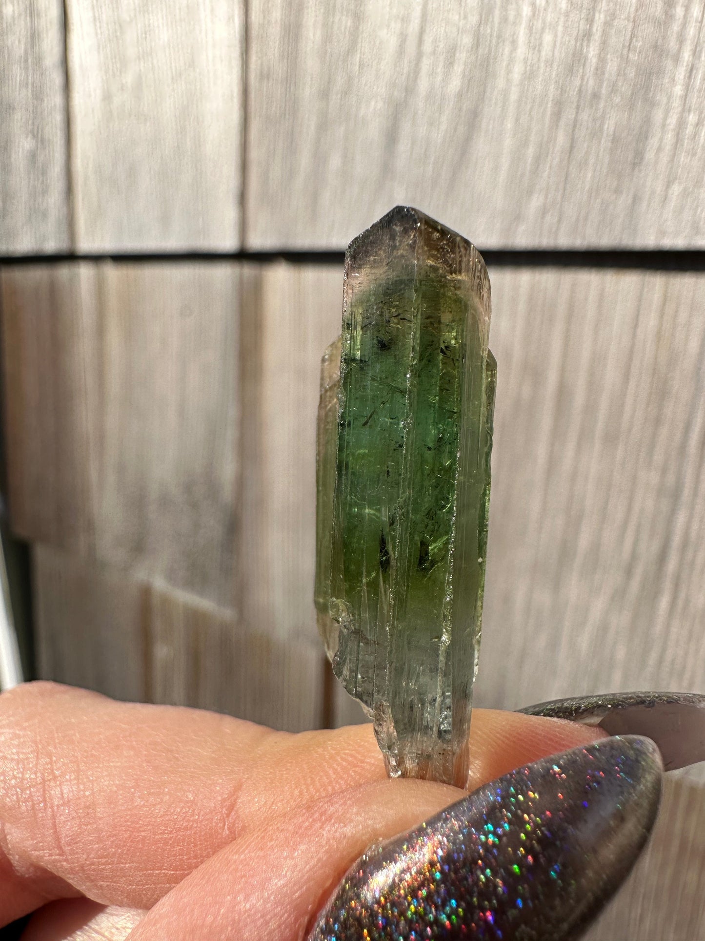 Parti-Colored Tourmaline Crystals from Aricanga Mine, Brazil