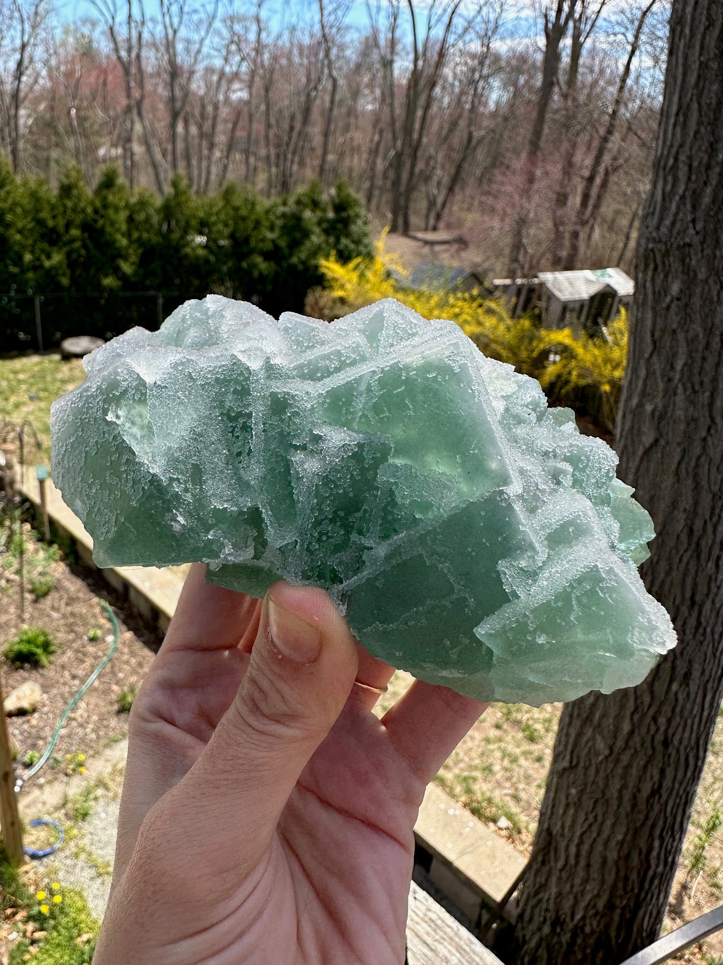 Cabinet Green Sugar Coated Fluorite from China