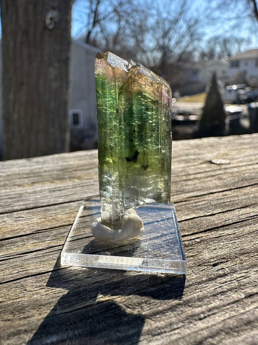 Parti-Colored Tourmaline Crystals from Aricanga Mine, Brazil