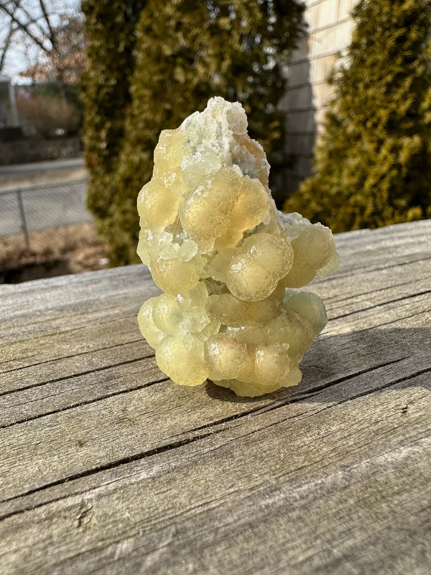 Prehnite from O&G Quarry Connecticut USA