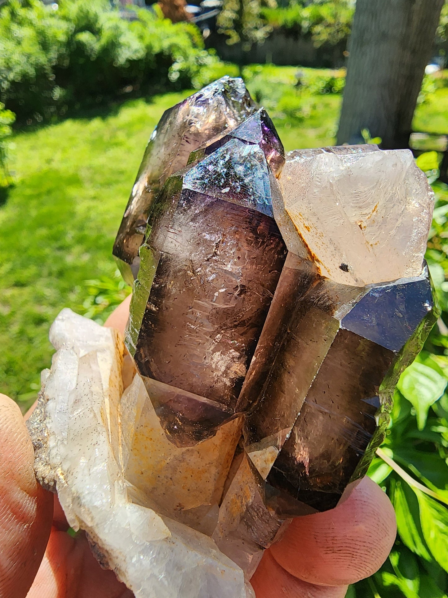 Cabinet Amethyst Scepter Cluster from Zambia Africa