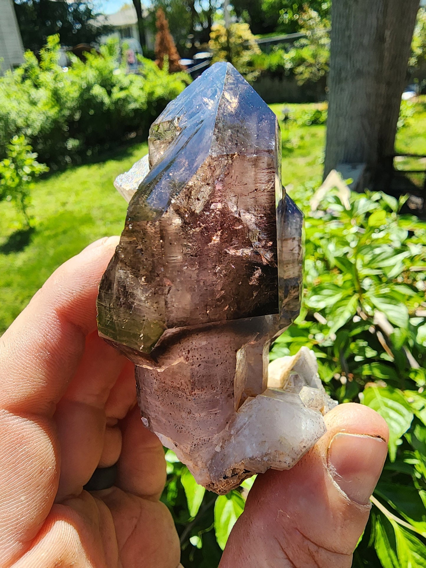 Cabinet Amethyst Scepter Cluster from Zambia Africa