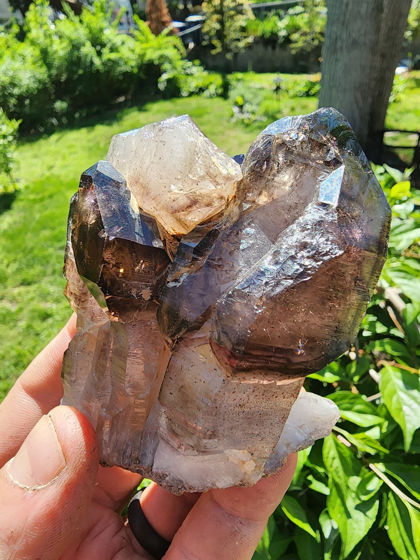Cabinet Amethyst Scepter Cluster from Zambia Africa