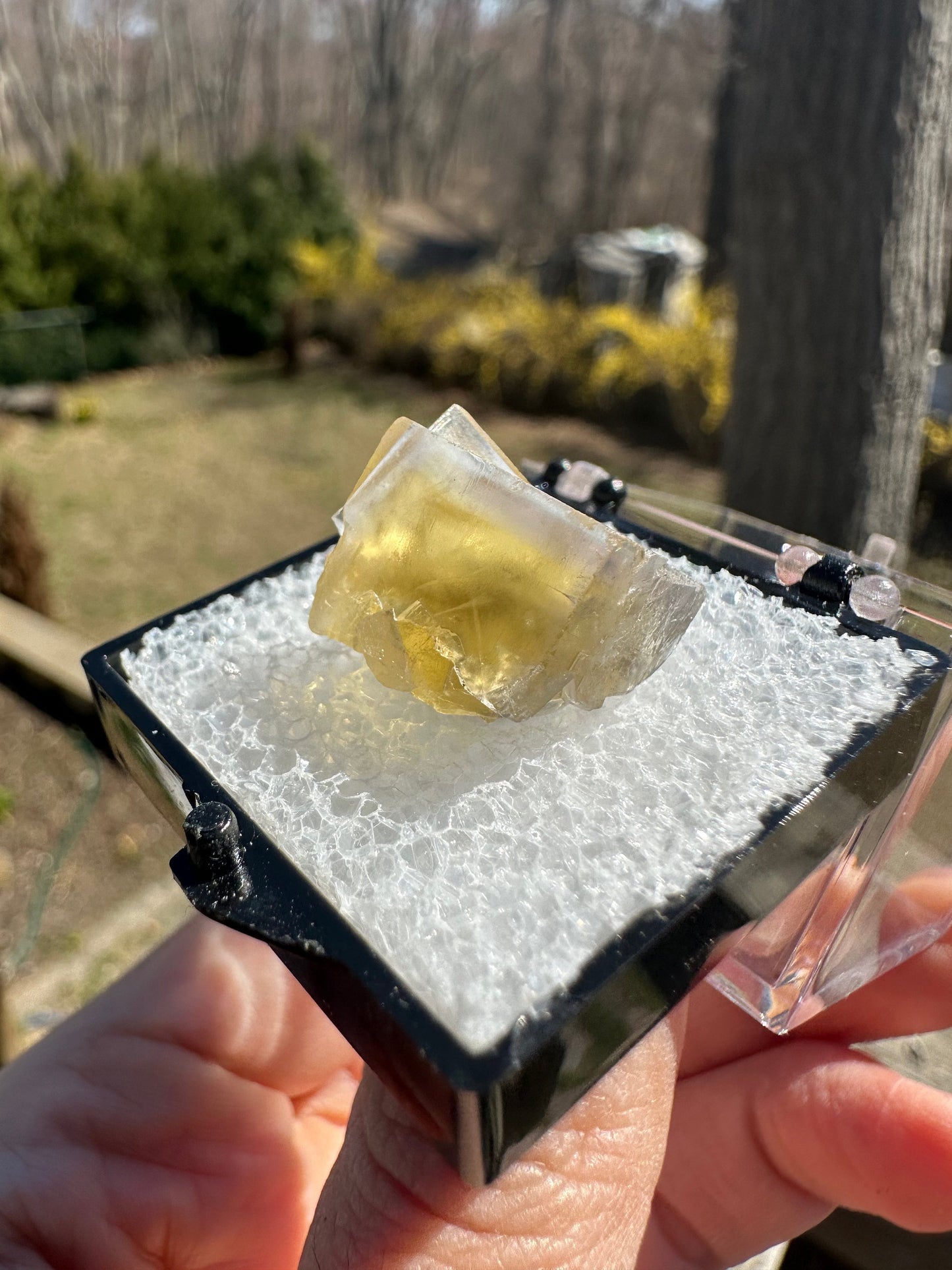 Yellow Fluorite from Bull Vein Pocket at Lady Annabella Mine UK