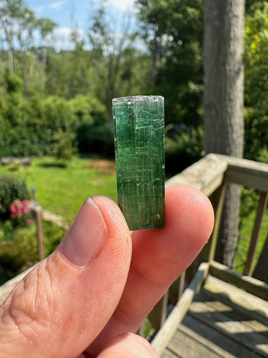 Gem Elbaite Tourmaline Crystal from Brazil