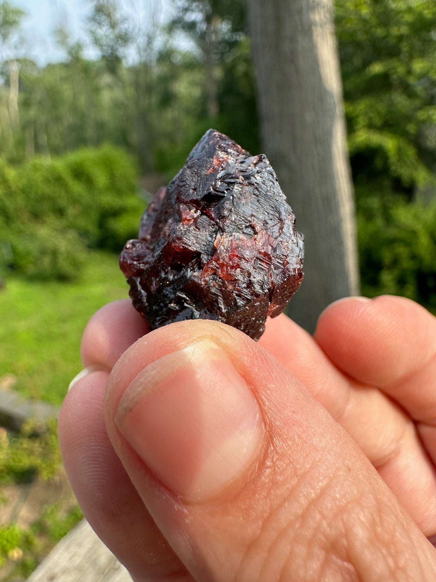 Etched Red Spessartine Garnet Crystal from Brazil