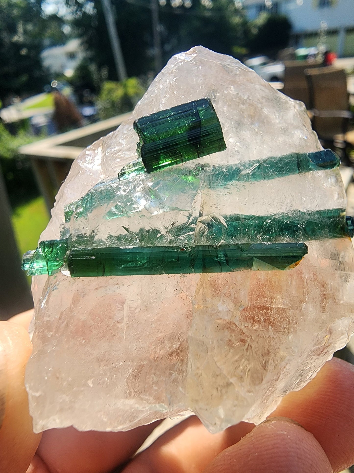 Tourmaline in Quartz from Minas Gerais, Brazil