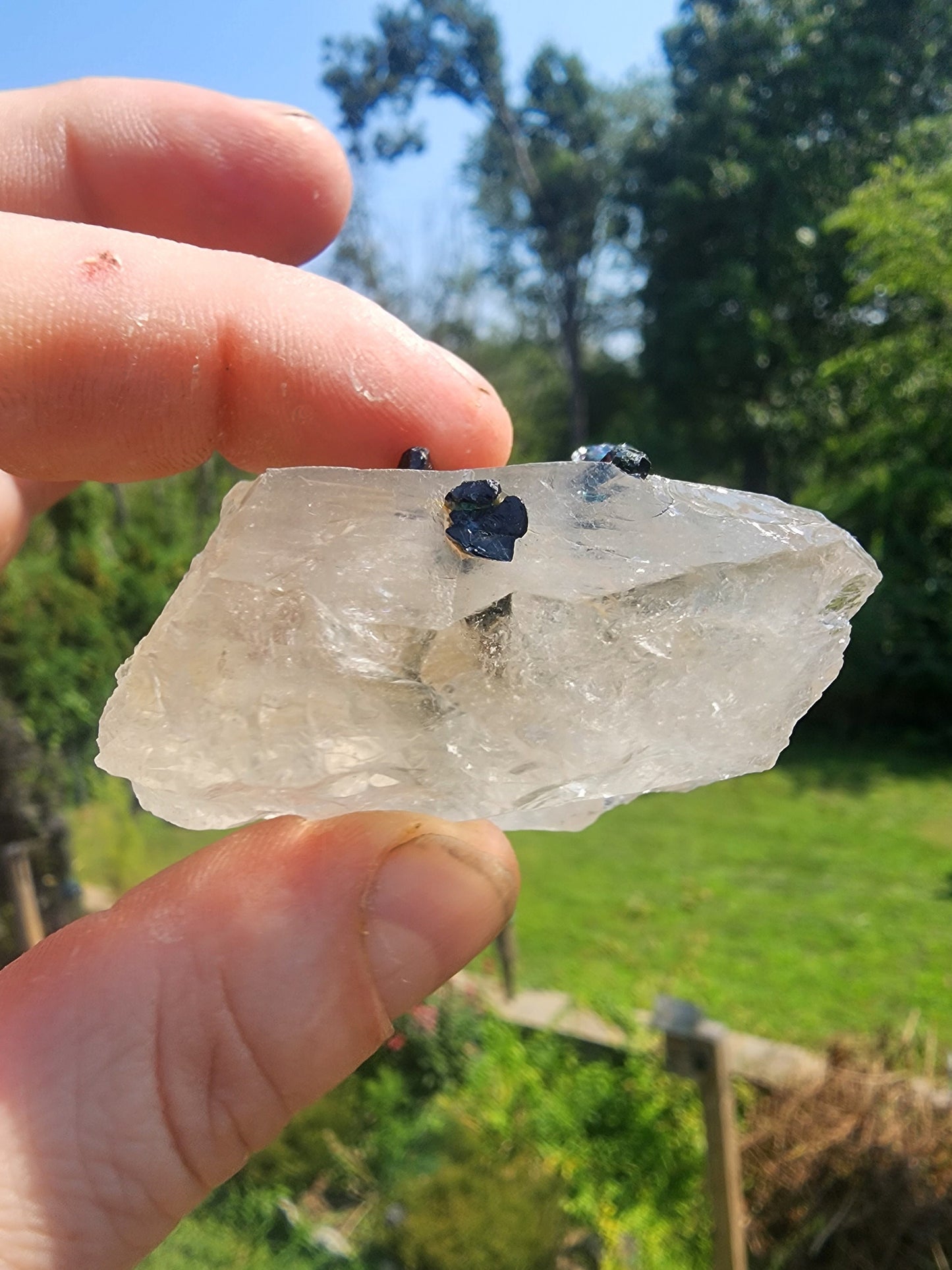 Tourmaline in Quartz from Minas Gerais, Brazil