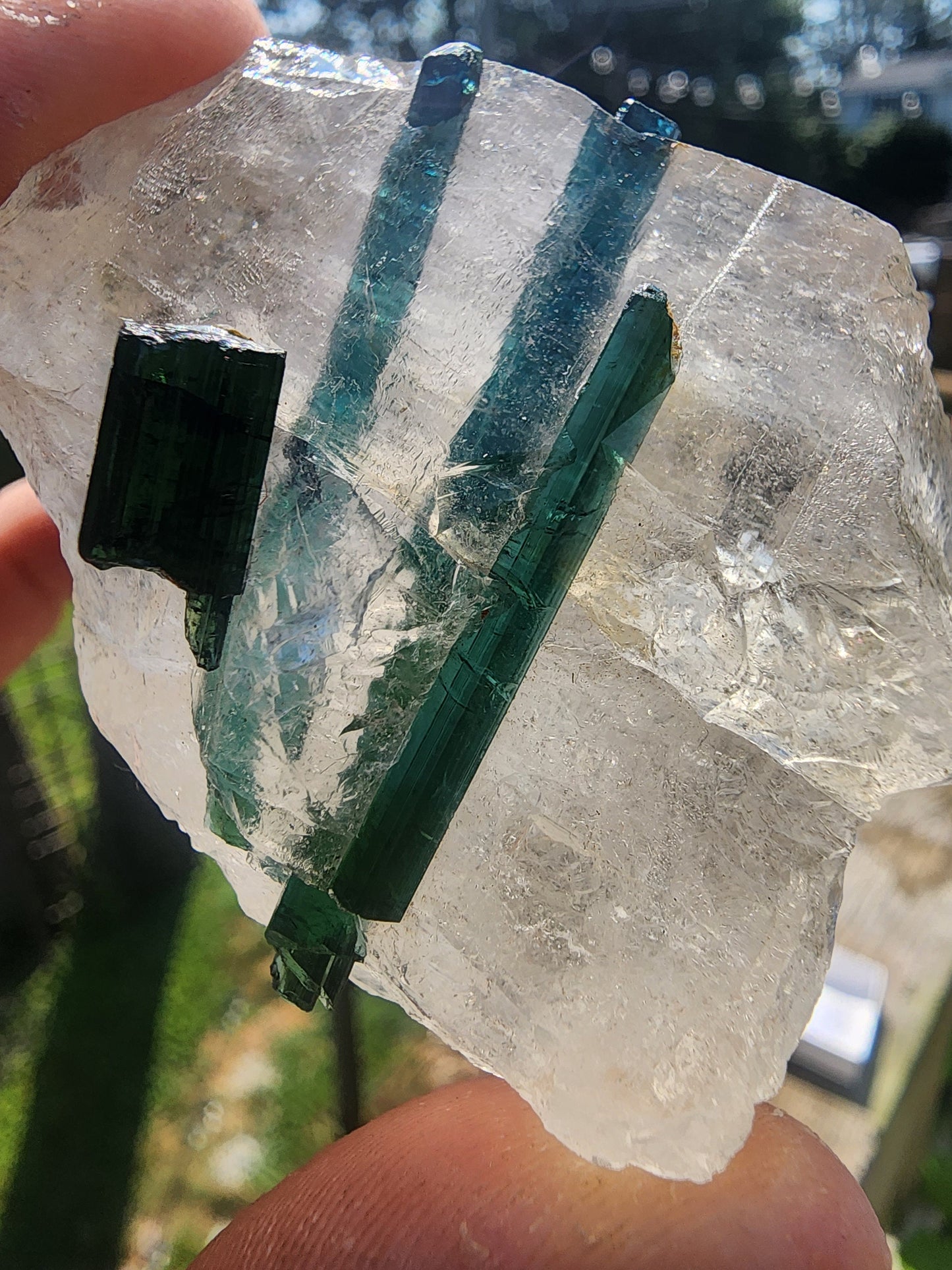 Tourmaline in Quartz from Minas Gerais, Brazil