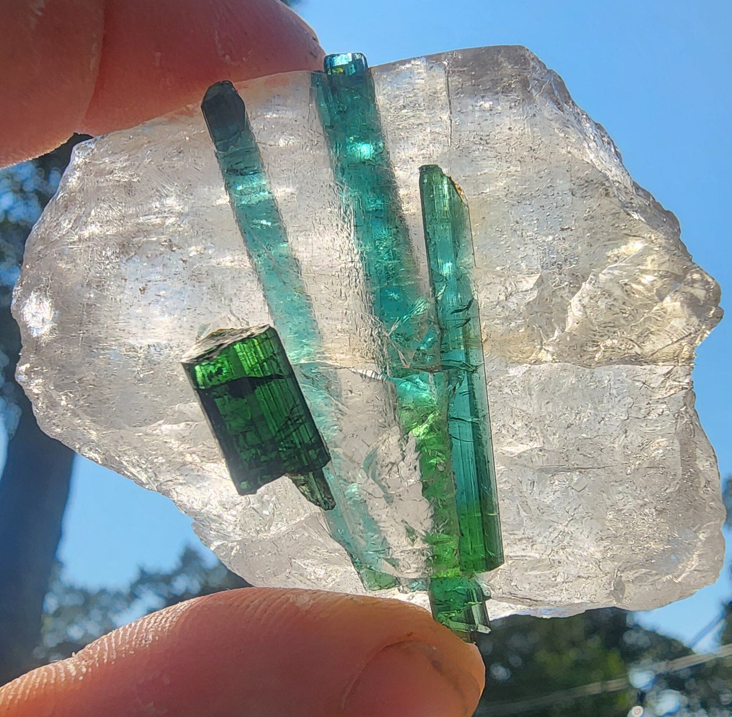 Tourmaline in Quartz from Minas Gerais, Brazil